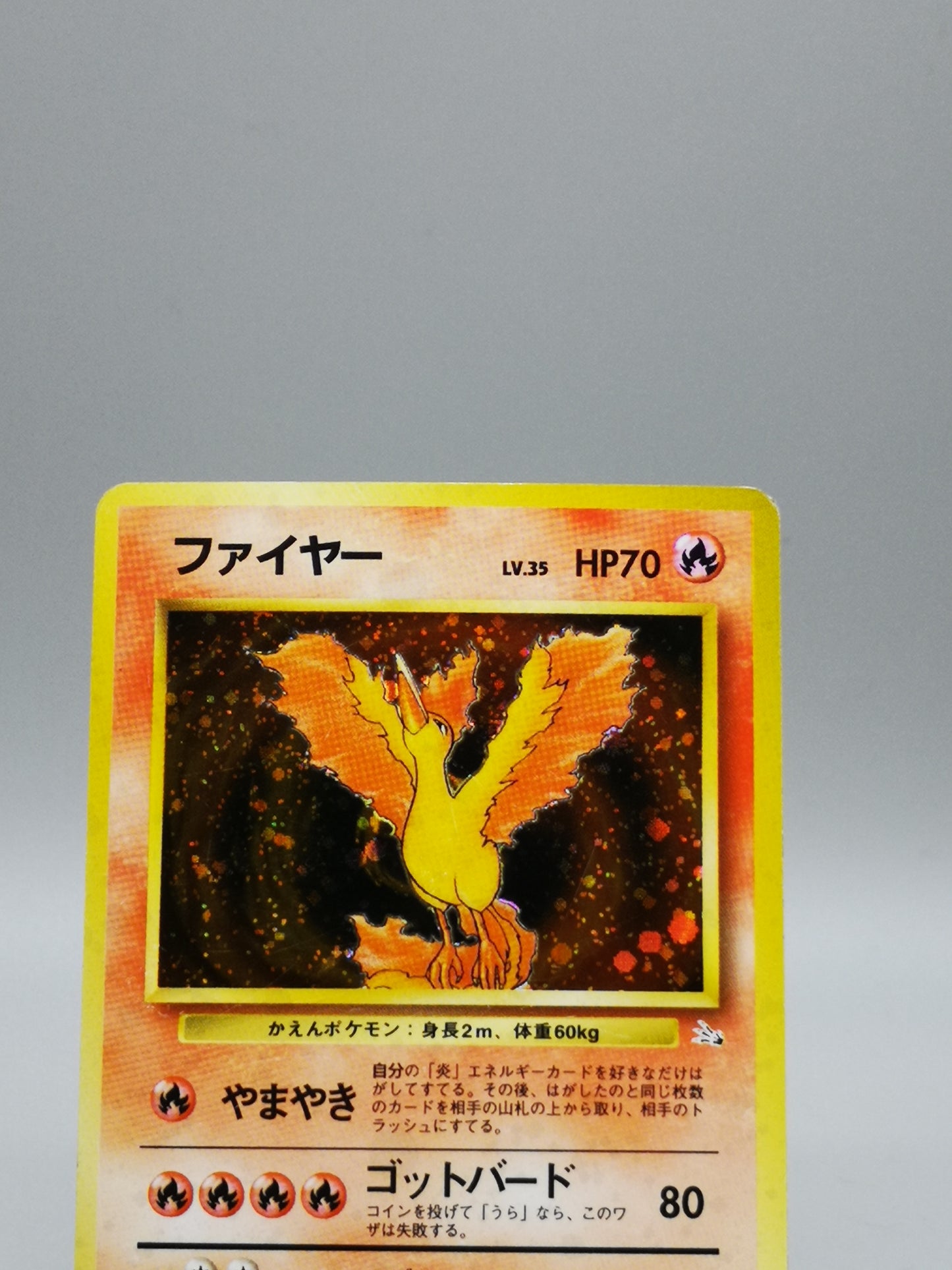 Moltres No.146 Japanese Base Set 1996