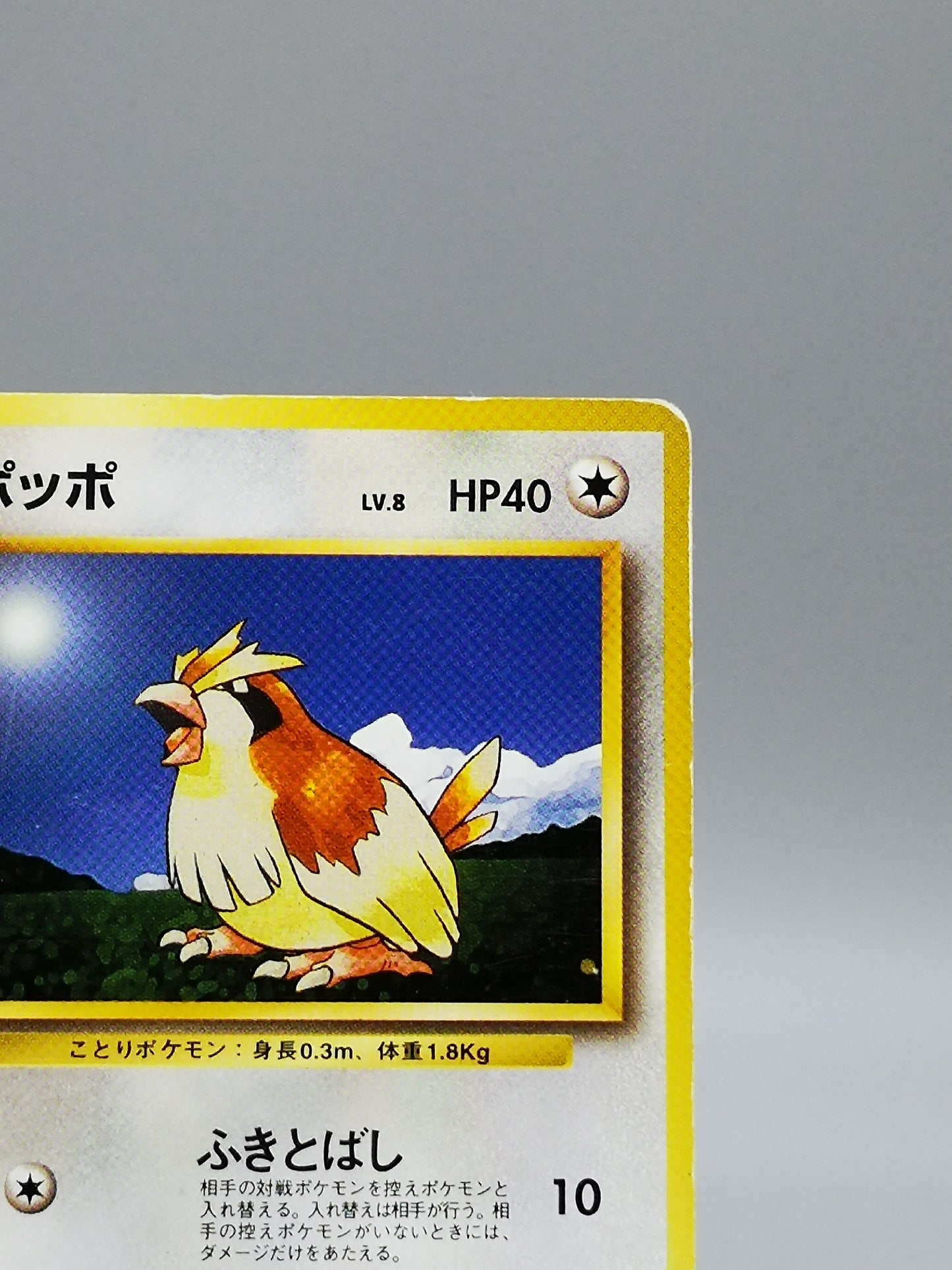 Pidgey No. 016 Japanese Base Set 1st Edition 1996
