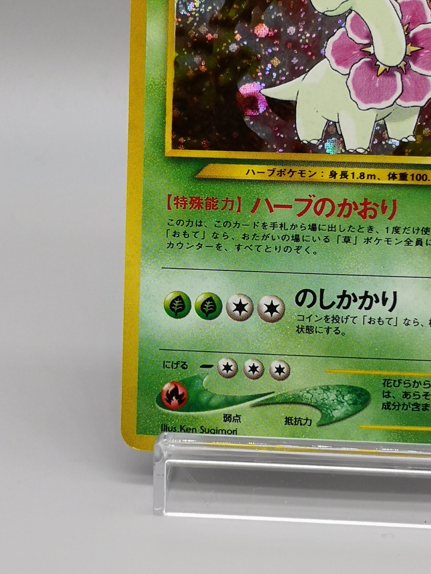 Meganium No. 154 Neo Genesis 2000