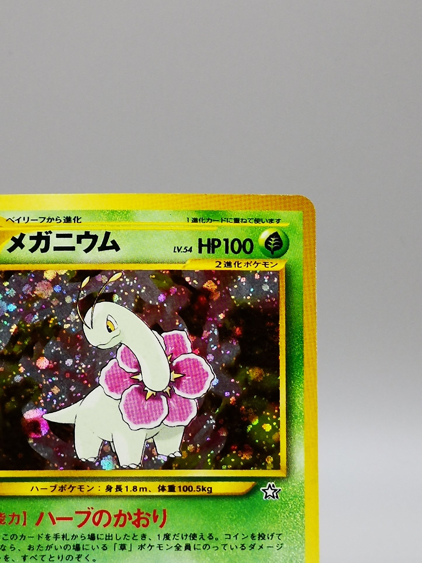 Meganium No. 154 Neo Genesis 2000