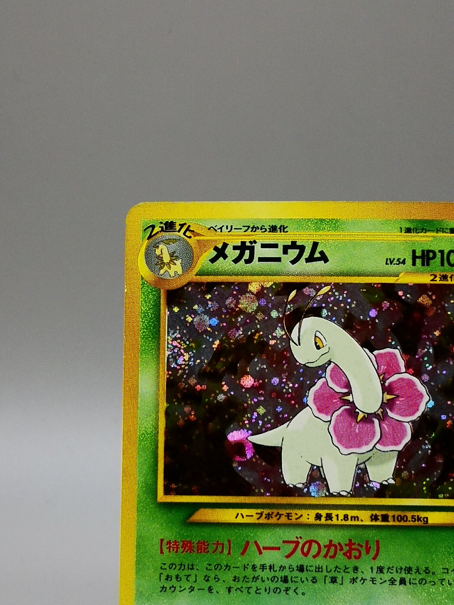 Meganium No. 154 Neo Genesis 2000