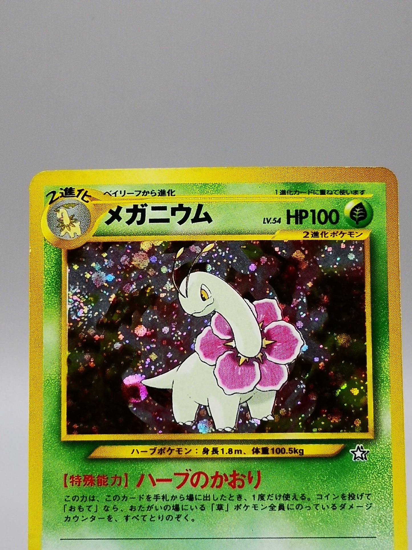 Meganium No. 154 Neo Genesis 2000