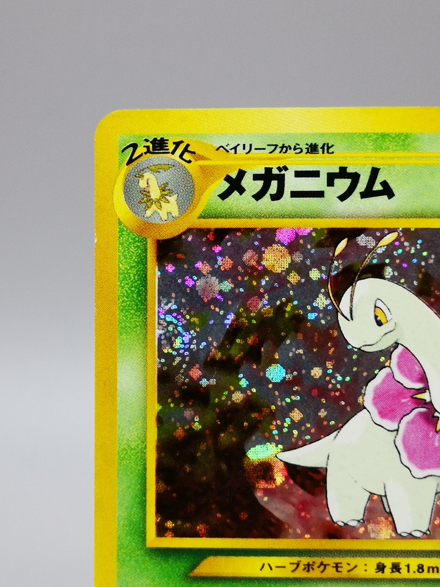 Meganium No. 154 Neo Genesis 2000
