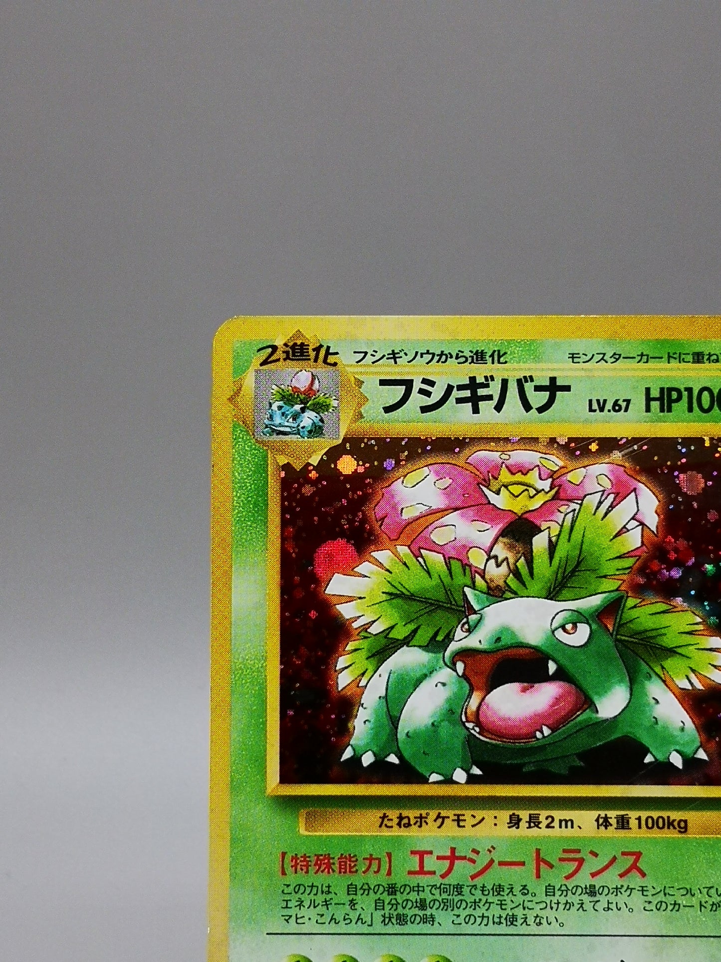 Venusaur Japanese Base Set 1996
