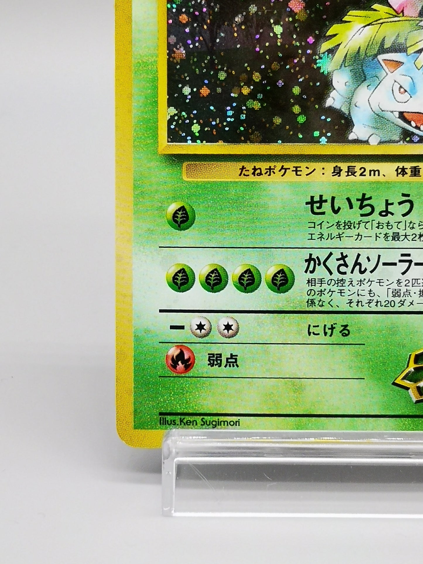 Erika's Venusaur No.003 Japanese Gym 2 Challenge from the Darkness 1999