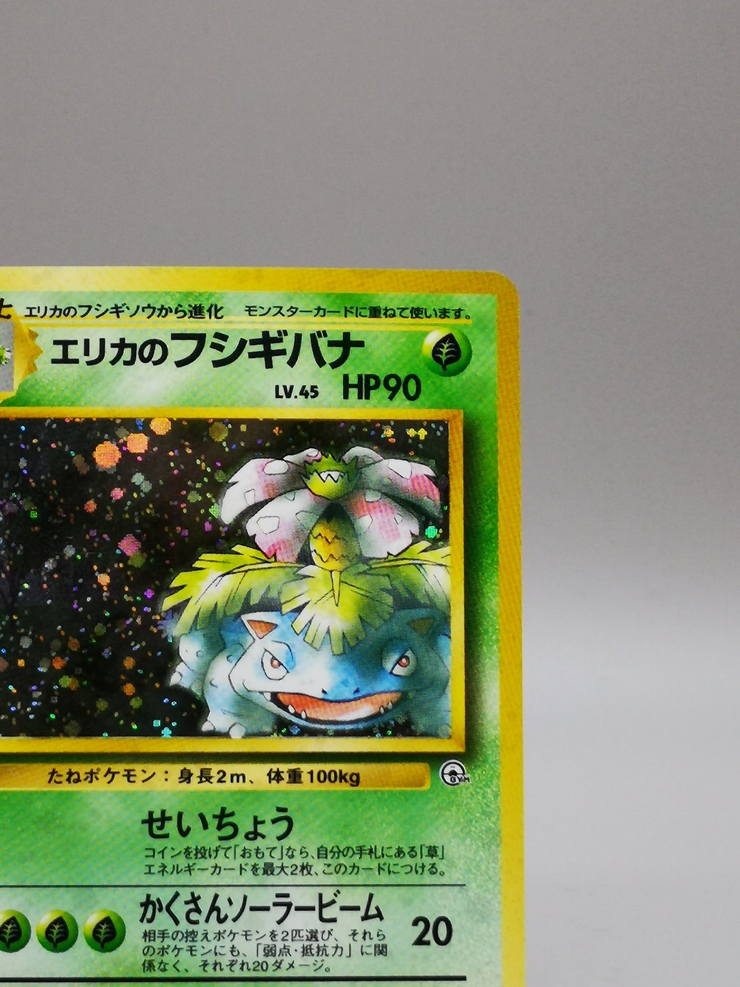 Erika's Venusaur No.003 Japanese Gym 2 Challenge from the Darkness 1999