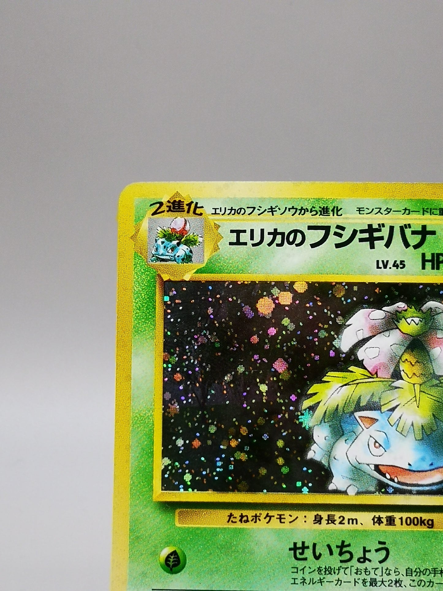 Erika's Venusaur No.003 Japanese Gym 2 Challenge from the Darkness 1999