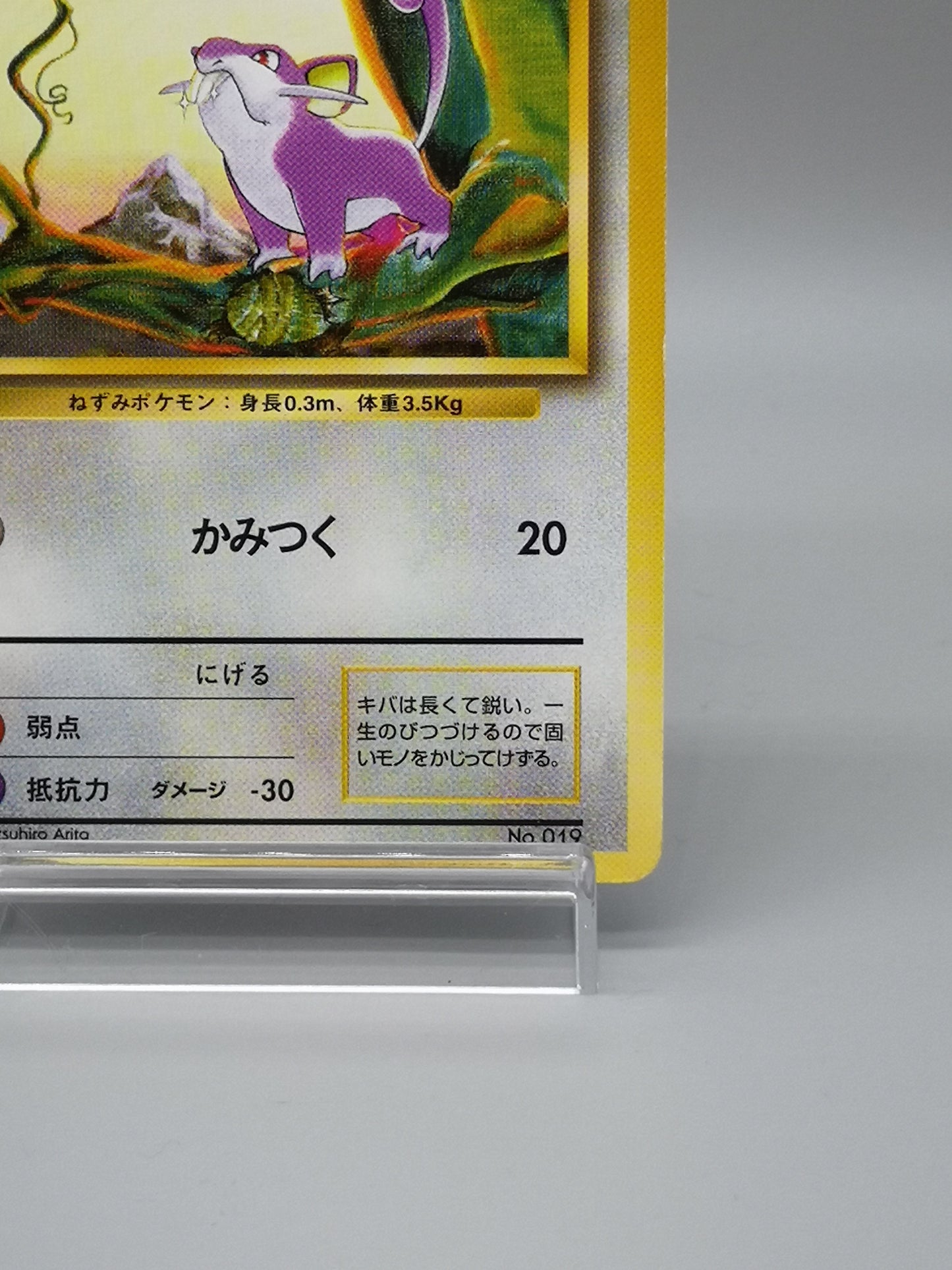 Rattata No.019 Japanese Base Set 1996