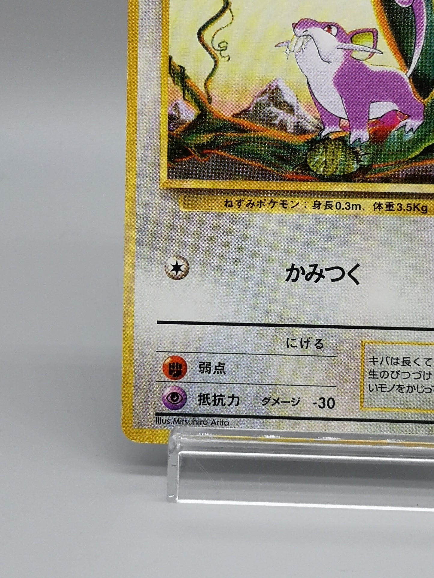 Rattata No.019 Japanese Base Set 1996