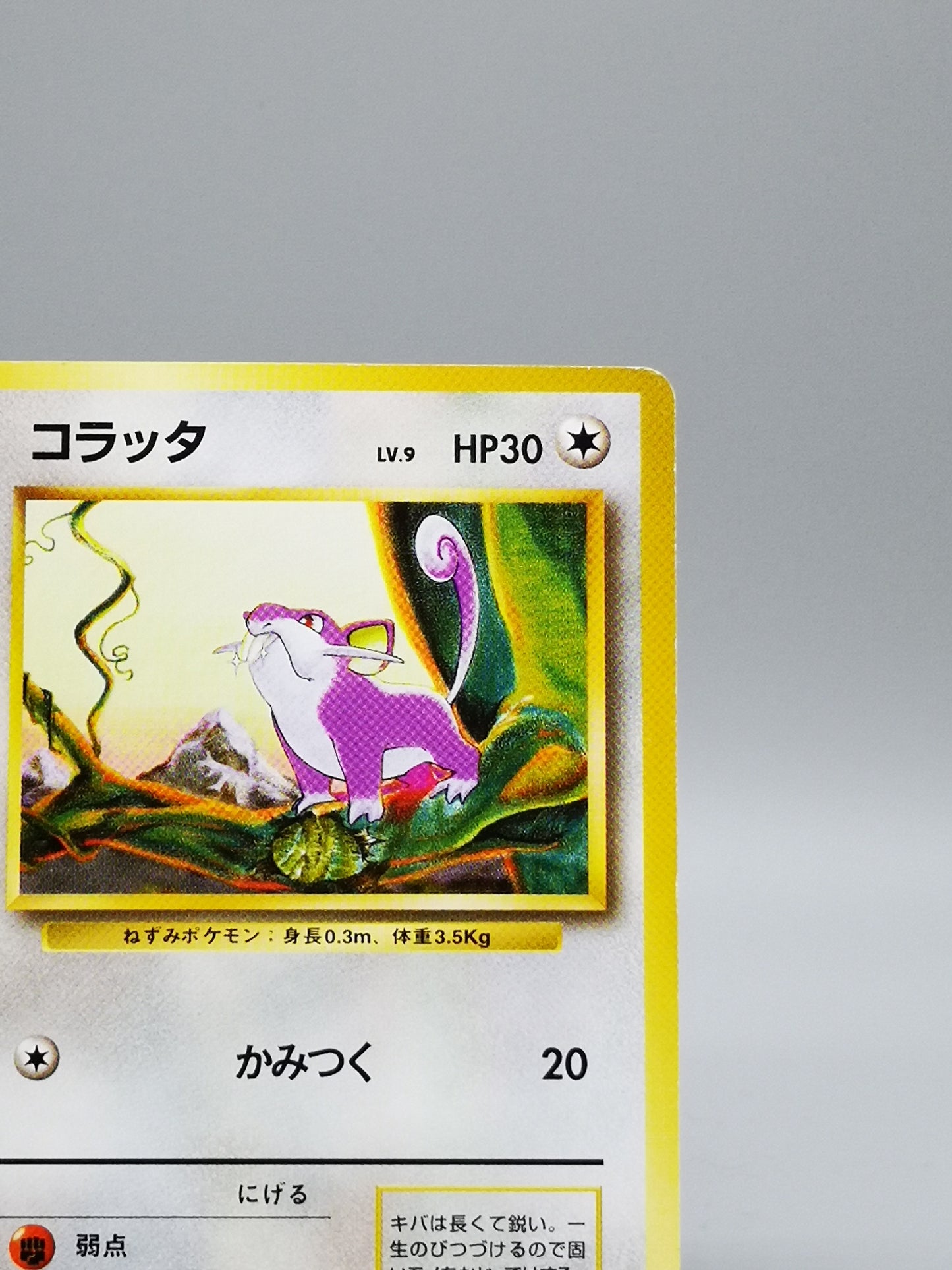 Rattata No.019 Japanese Base Set 1996