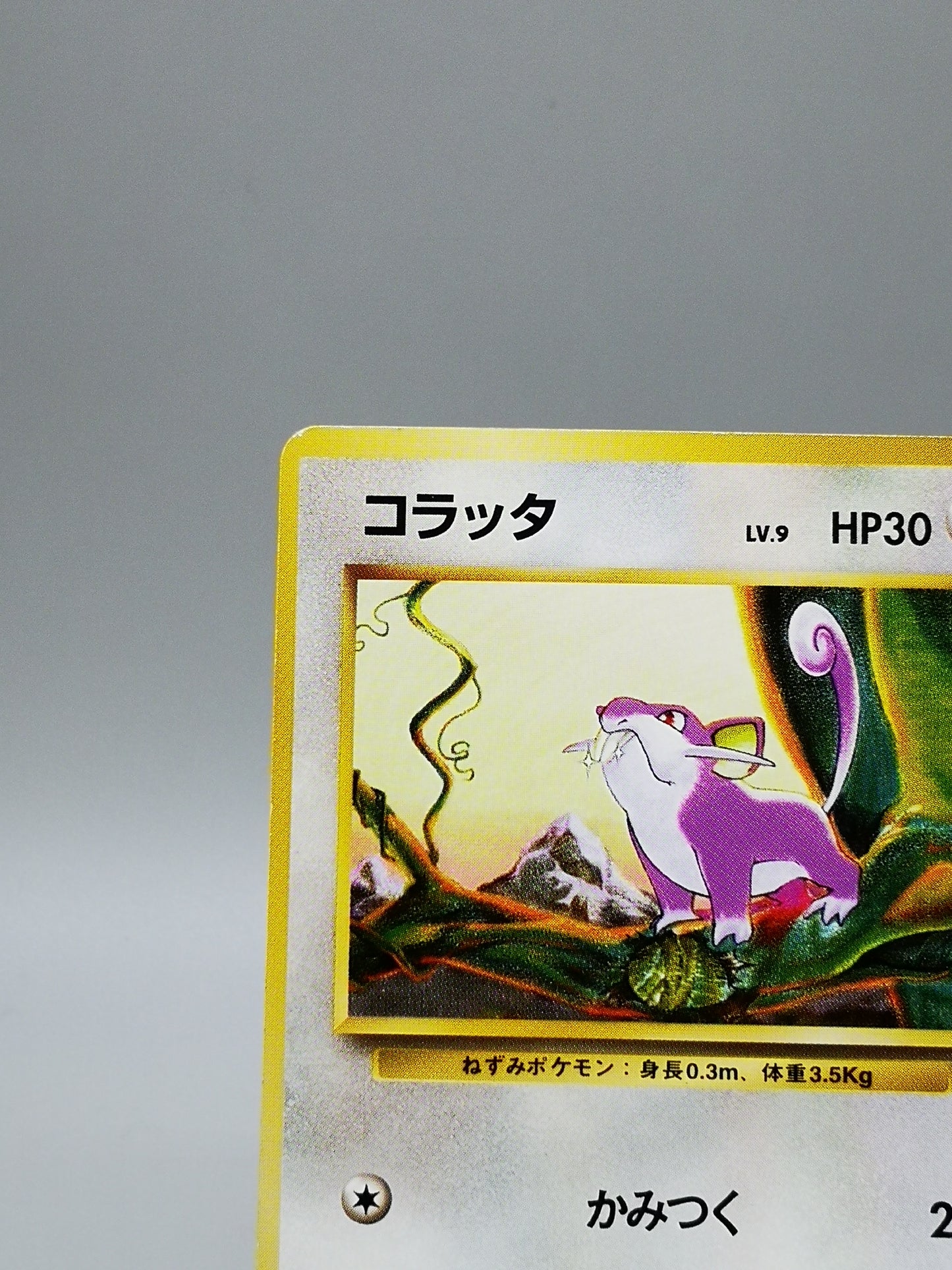 Rattata No.019 Japanese Base Set 1996