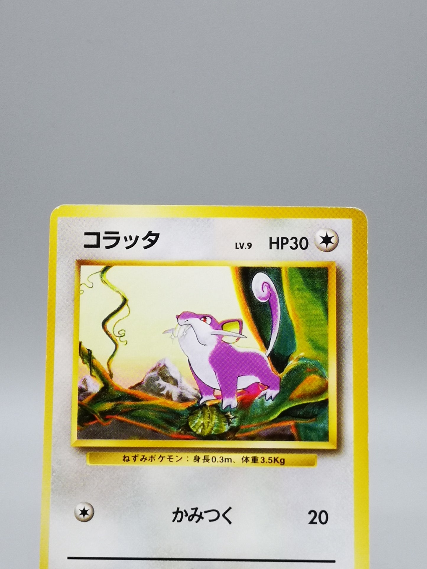 Rattata No.019 Japanese Base Set 1996
