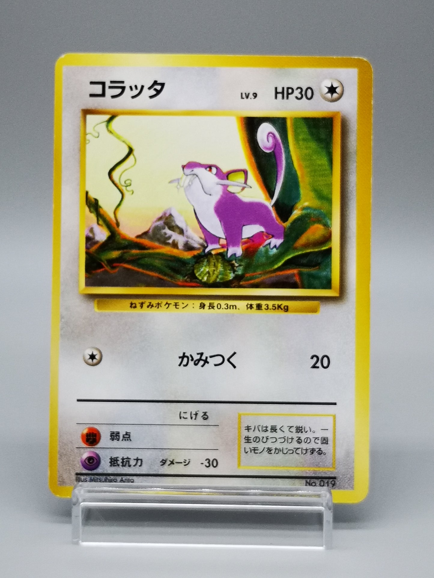 Rattata No.019 Japanese Base Set 1996