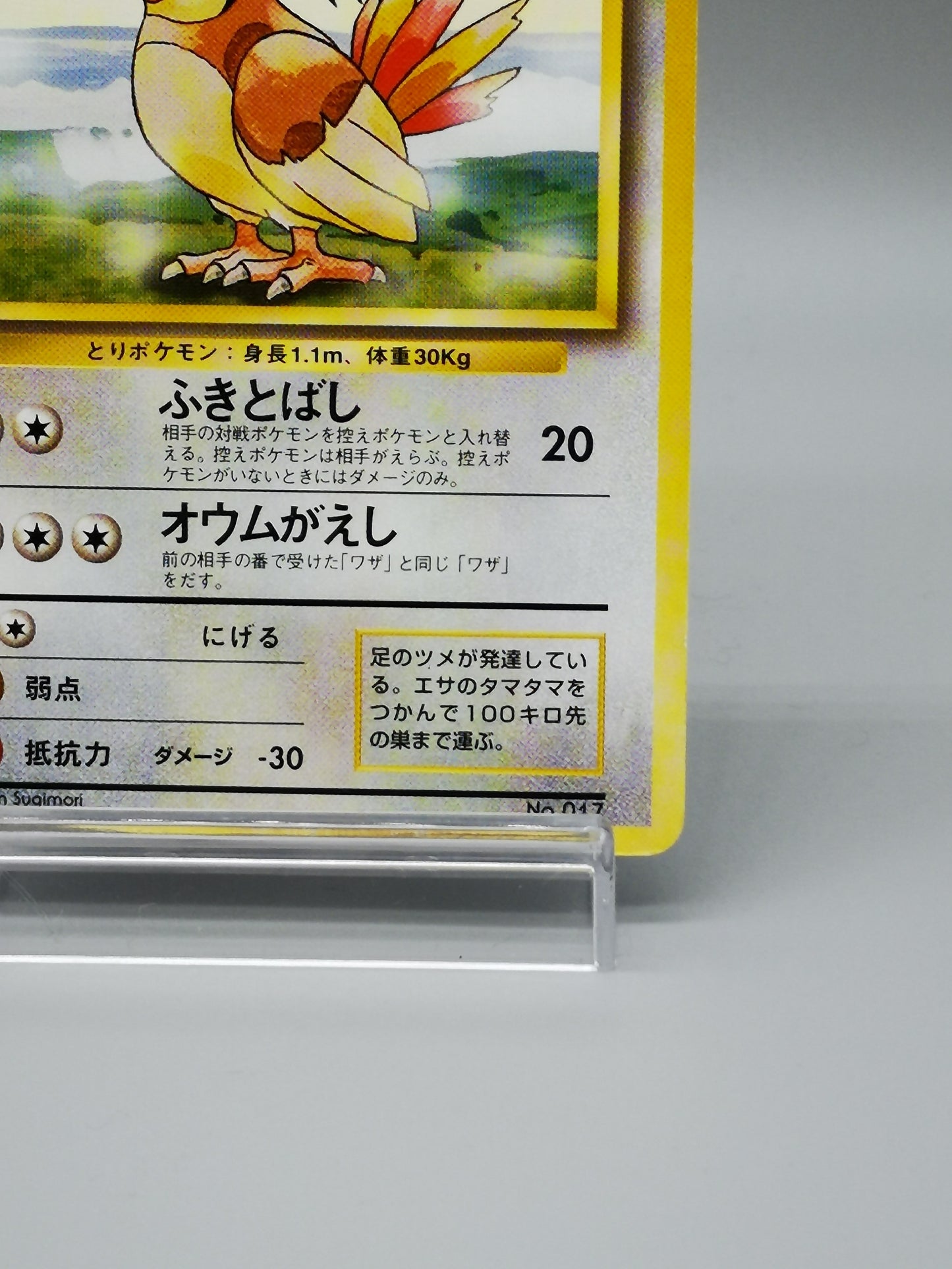 Pidgeotto No.017 Japanese Base Set 1st Edition 1996
