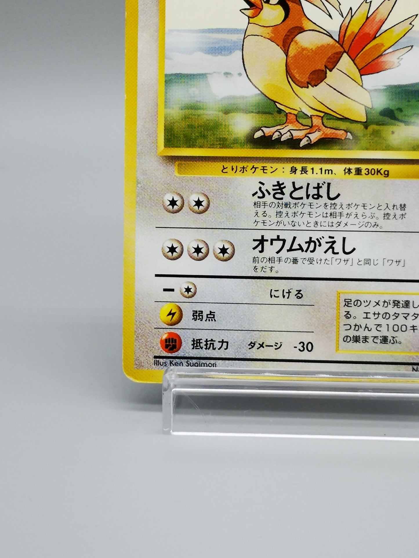 Pidgeotto No.017 Japanese Base Set 1st Edition 1996