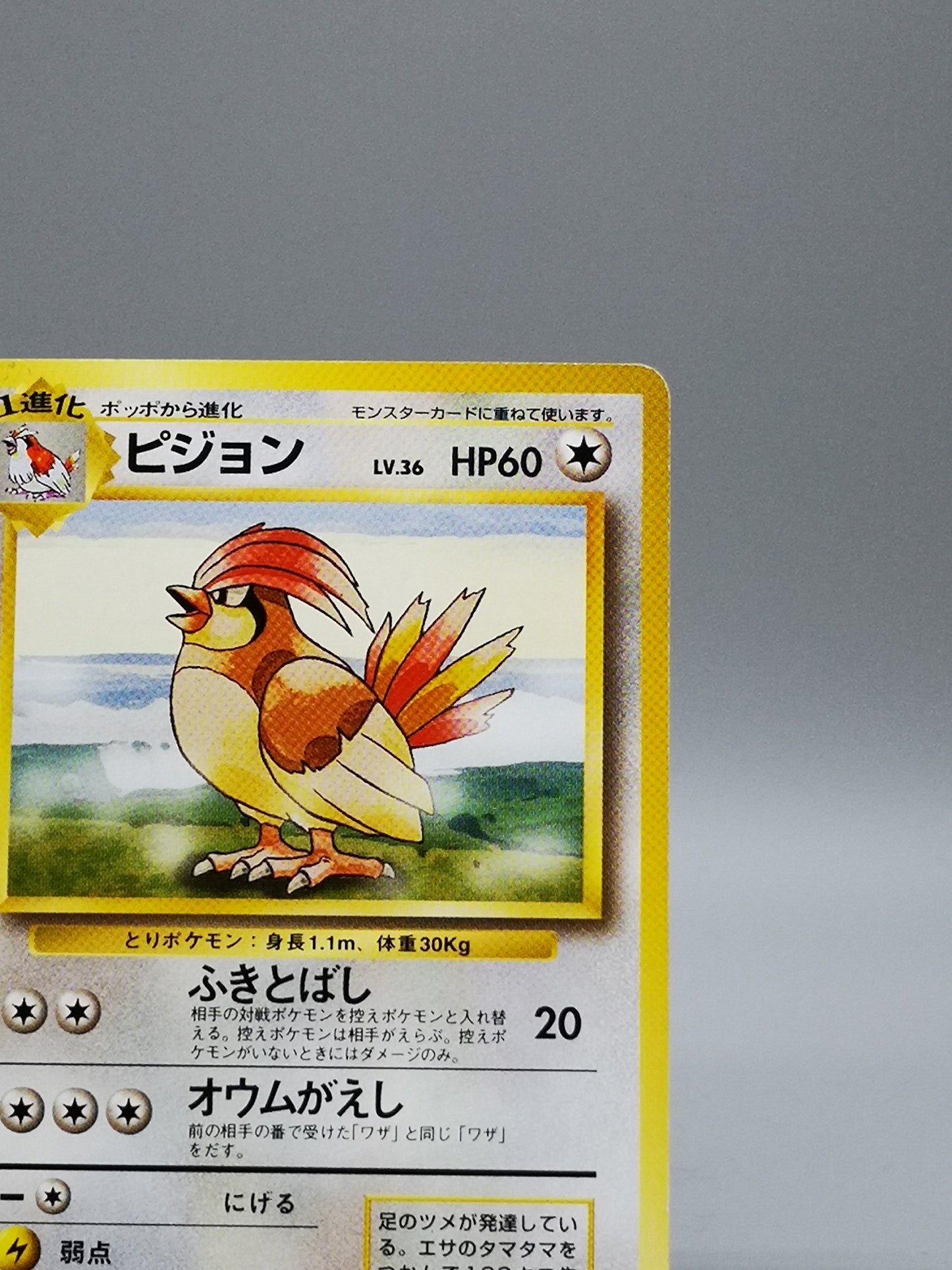 Pidgeotto No.017 Japanese Base Set 1st Edition 1996
