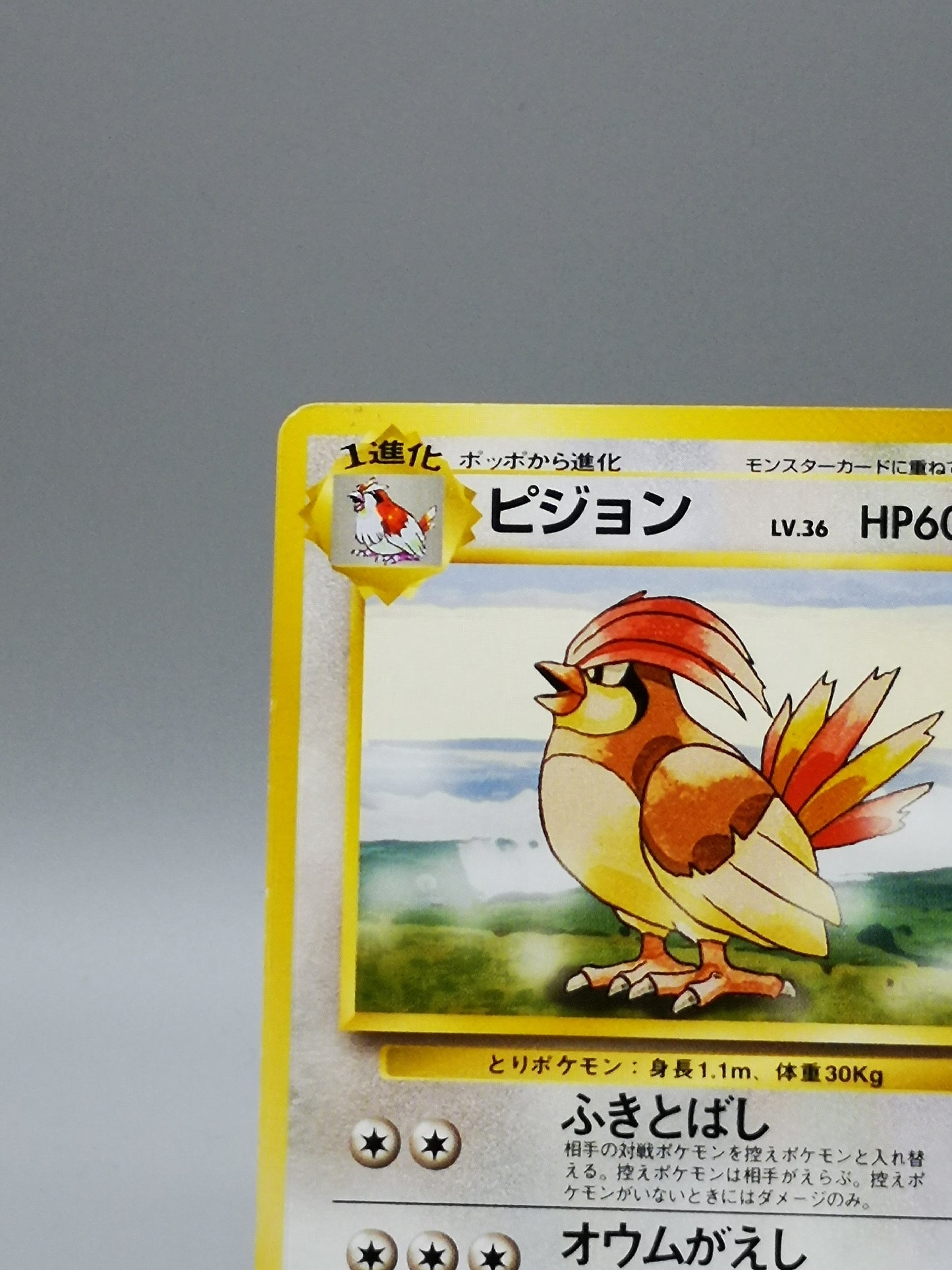 Pidgeotto No.017 Japanese Base Set 1st Edition 1996