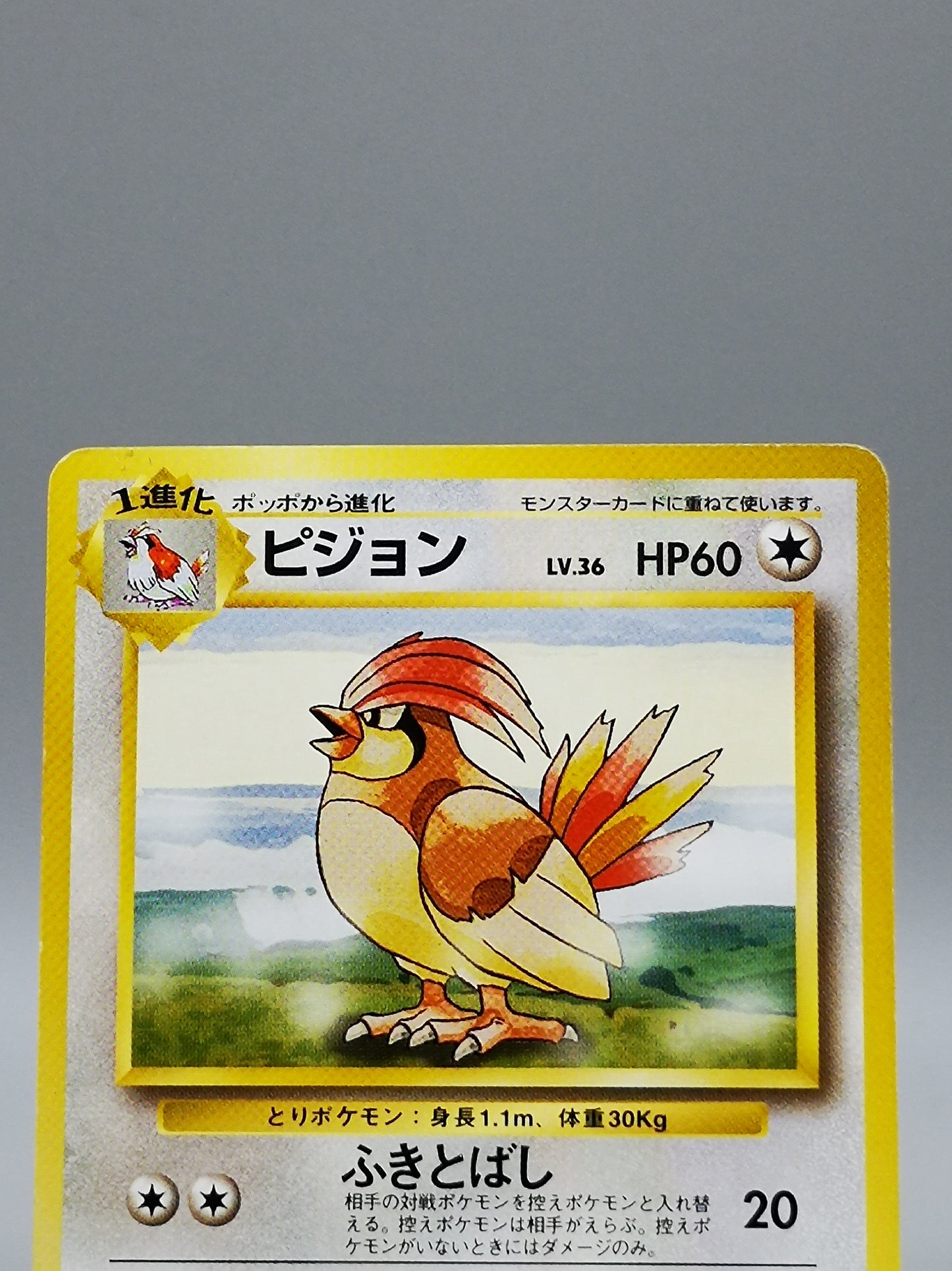 Pidgeotto No.017 Japanese Base Set 1st Edition 1996