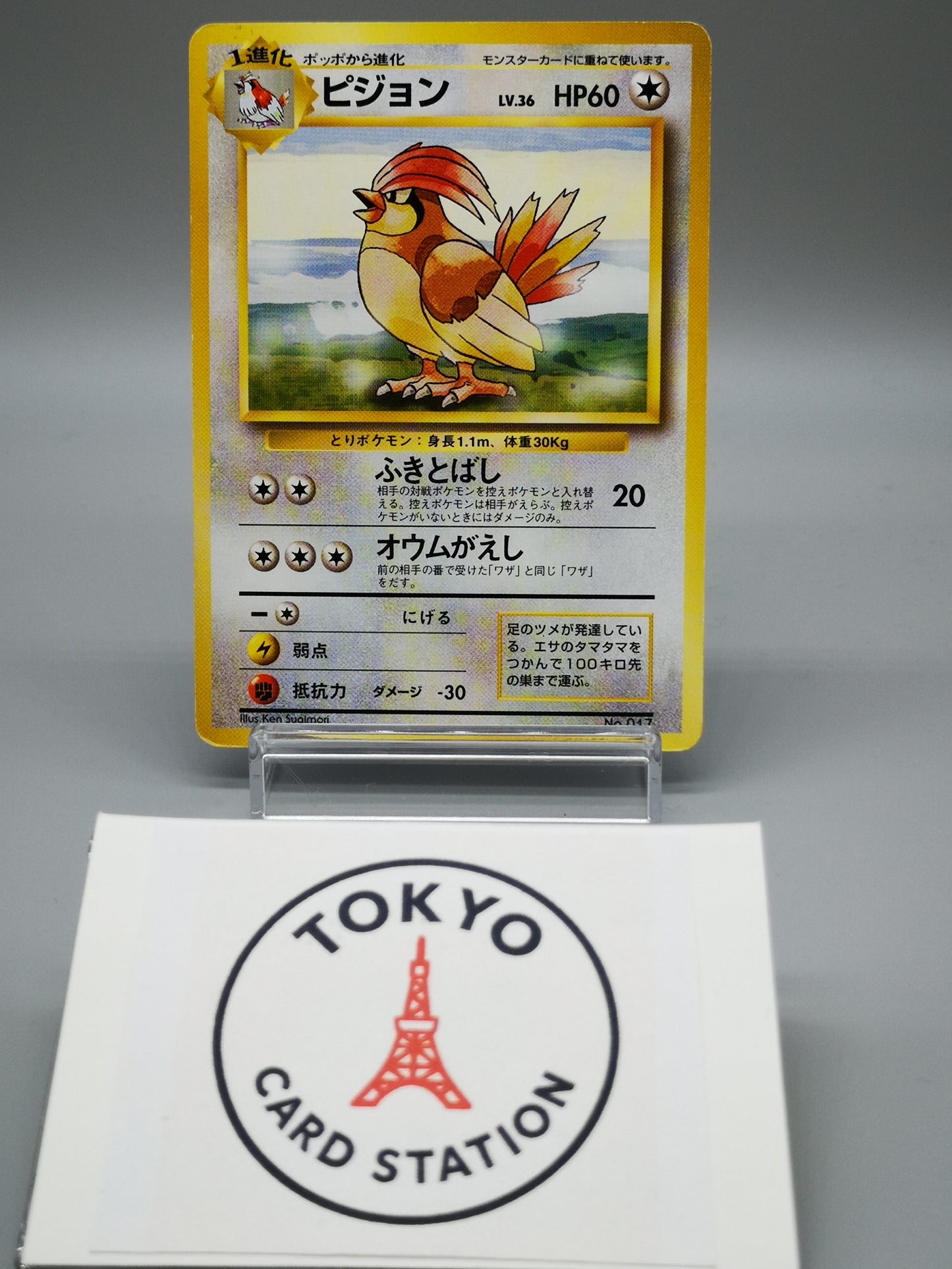 Pidgeotto No.017 Japanese Base Set 1st Edition 1996