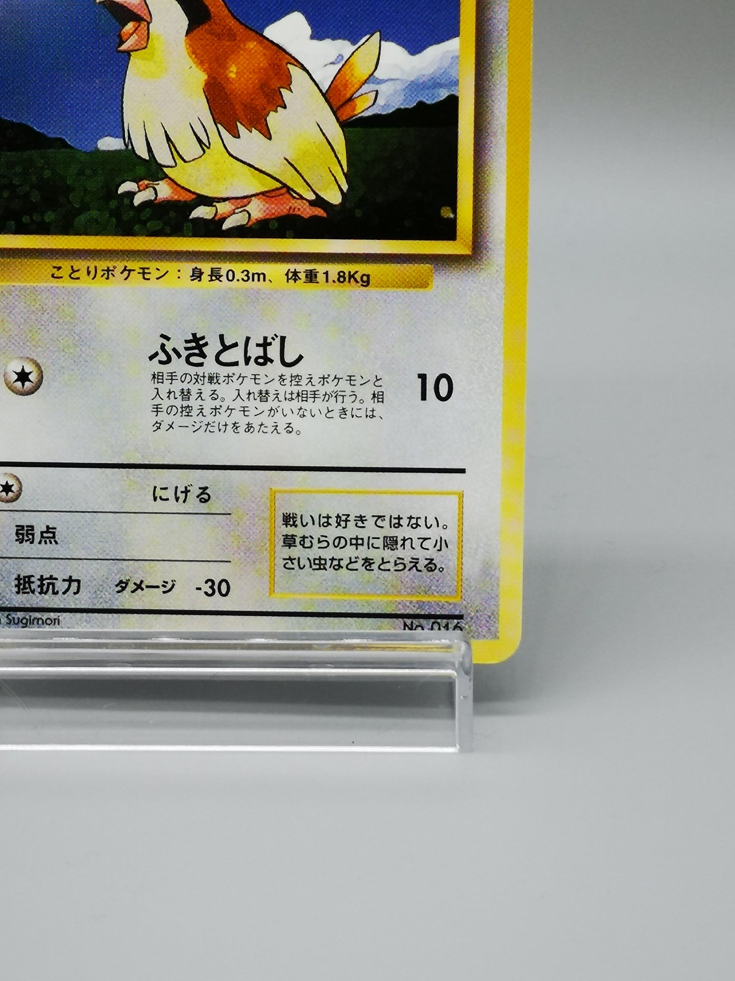 Pidgey No.016 Japanese Base Set 1st Edition 1996