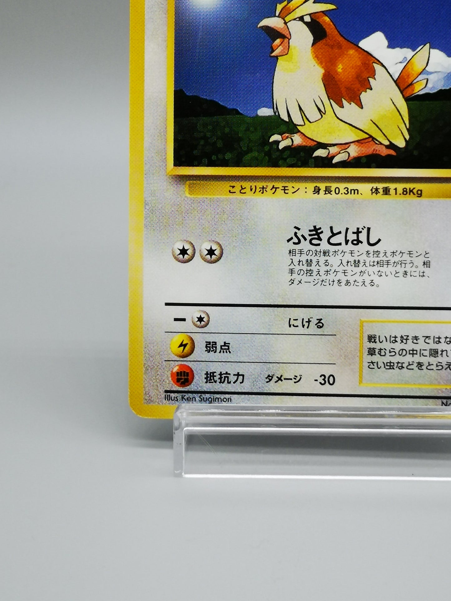 Pidgey No.016 Japanese Base Set 1st Edition 1996