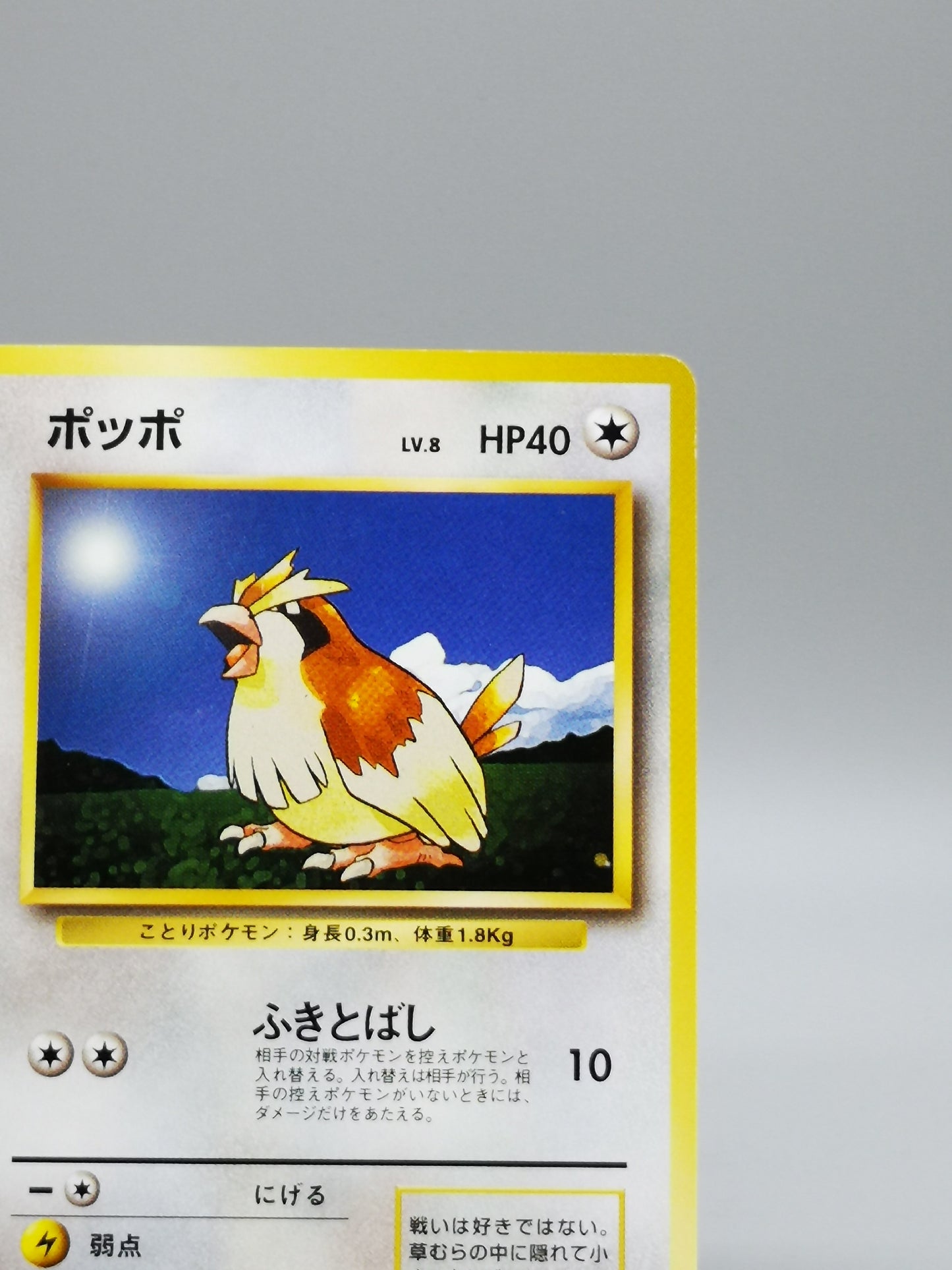 Pidgey No.016 Japanese Base Set 1st Edition 1996