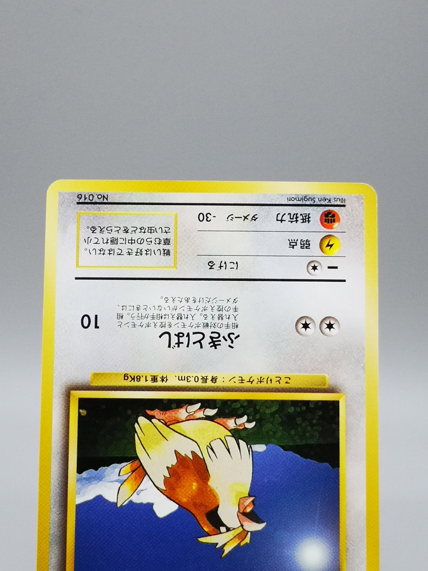 Pidgey No.016 Japanese Base Set 1st Edition 1996