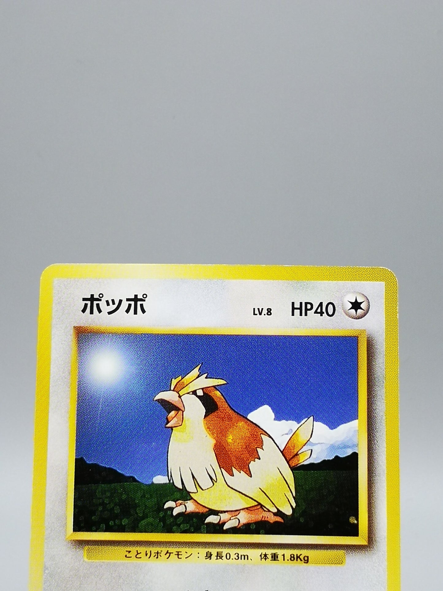 Pidgey No.016 Japanese Base Set 1st Edition 1996