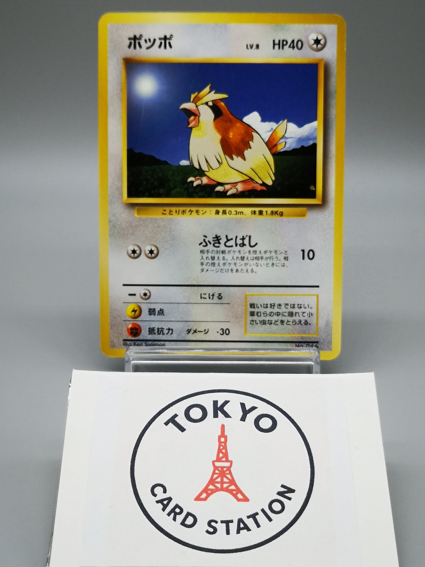 Pidgey No.016 Japanese Base Set 1st Edition 1996