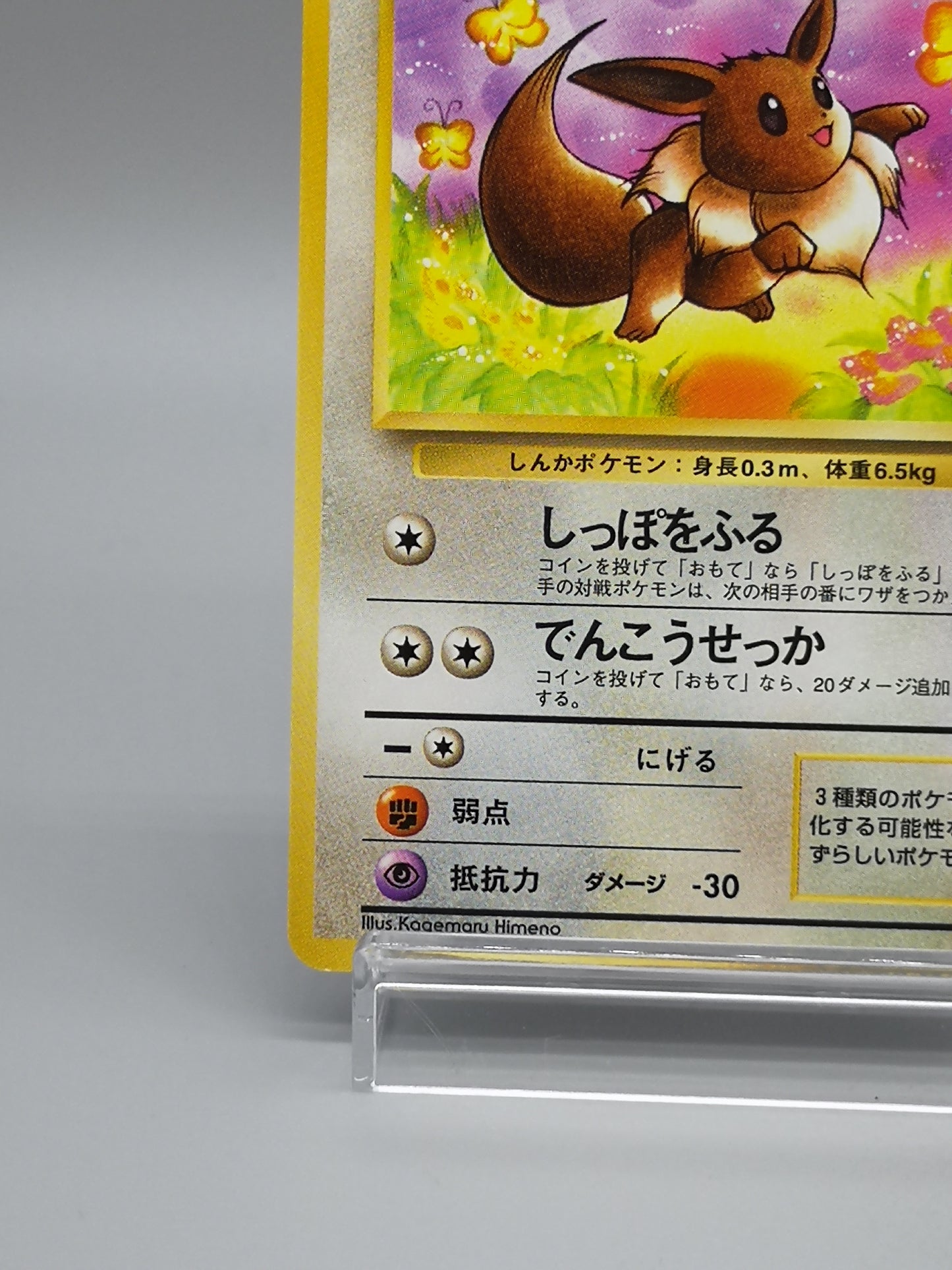 Eevee No.133 Japanese Jungle 1997
