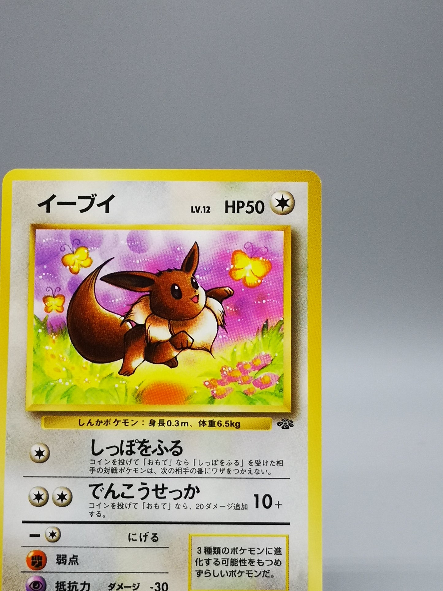 Eevee No.133 Japanese Jungle 1997