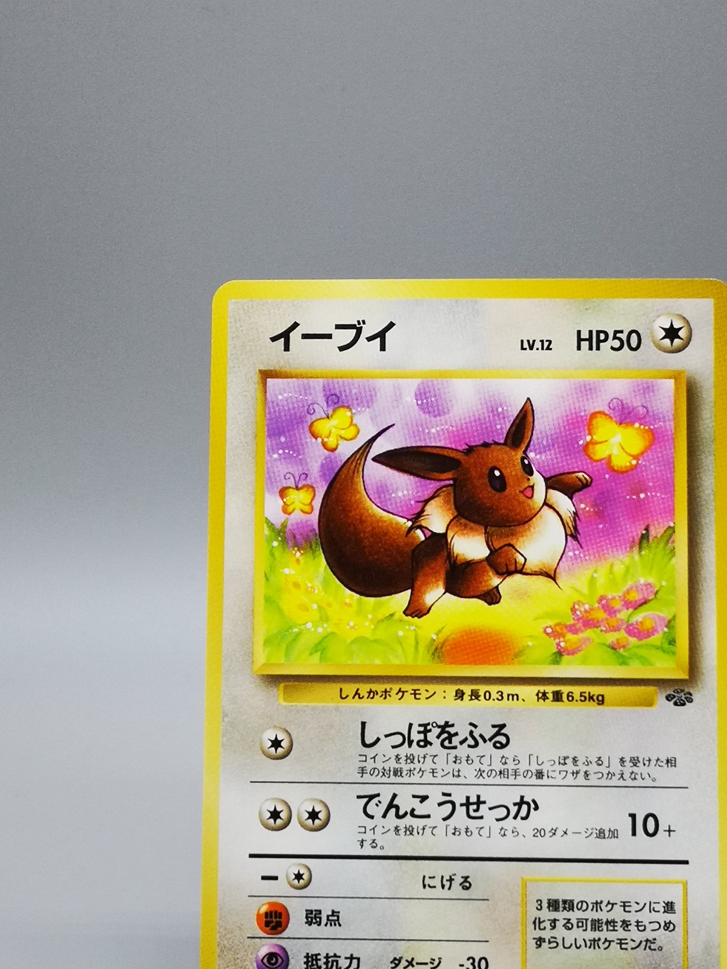 Eevee No.133 Japanese Jungle 1997
