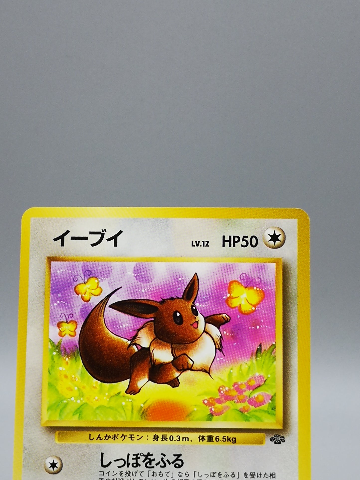 Eevee No.133 Japanese Jungle 1997