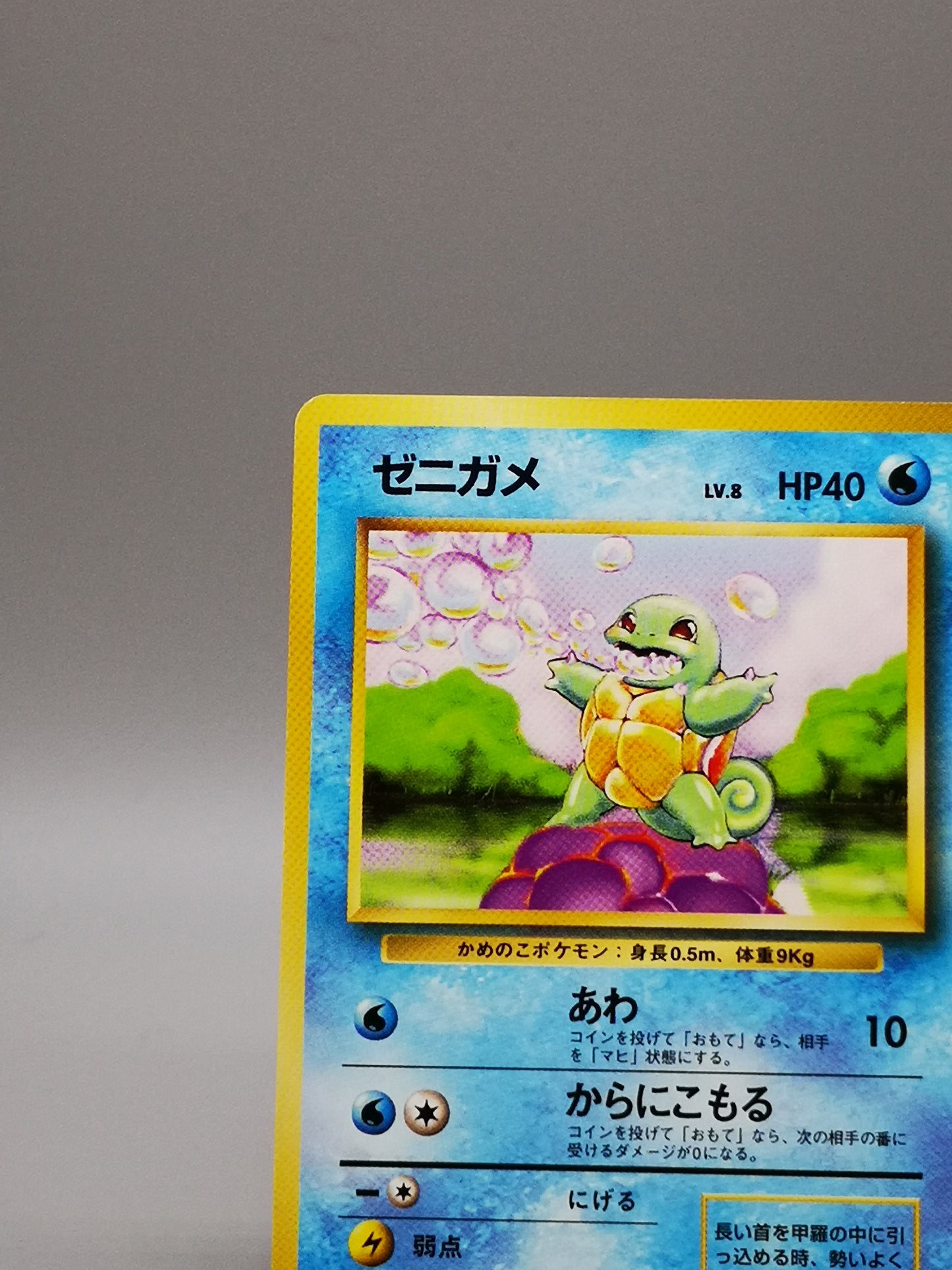 Squirtle No.007 Japanese Base Set 1st Edition 1996