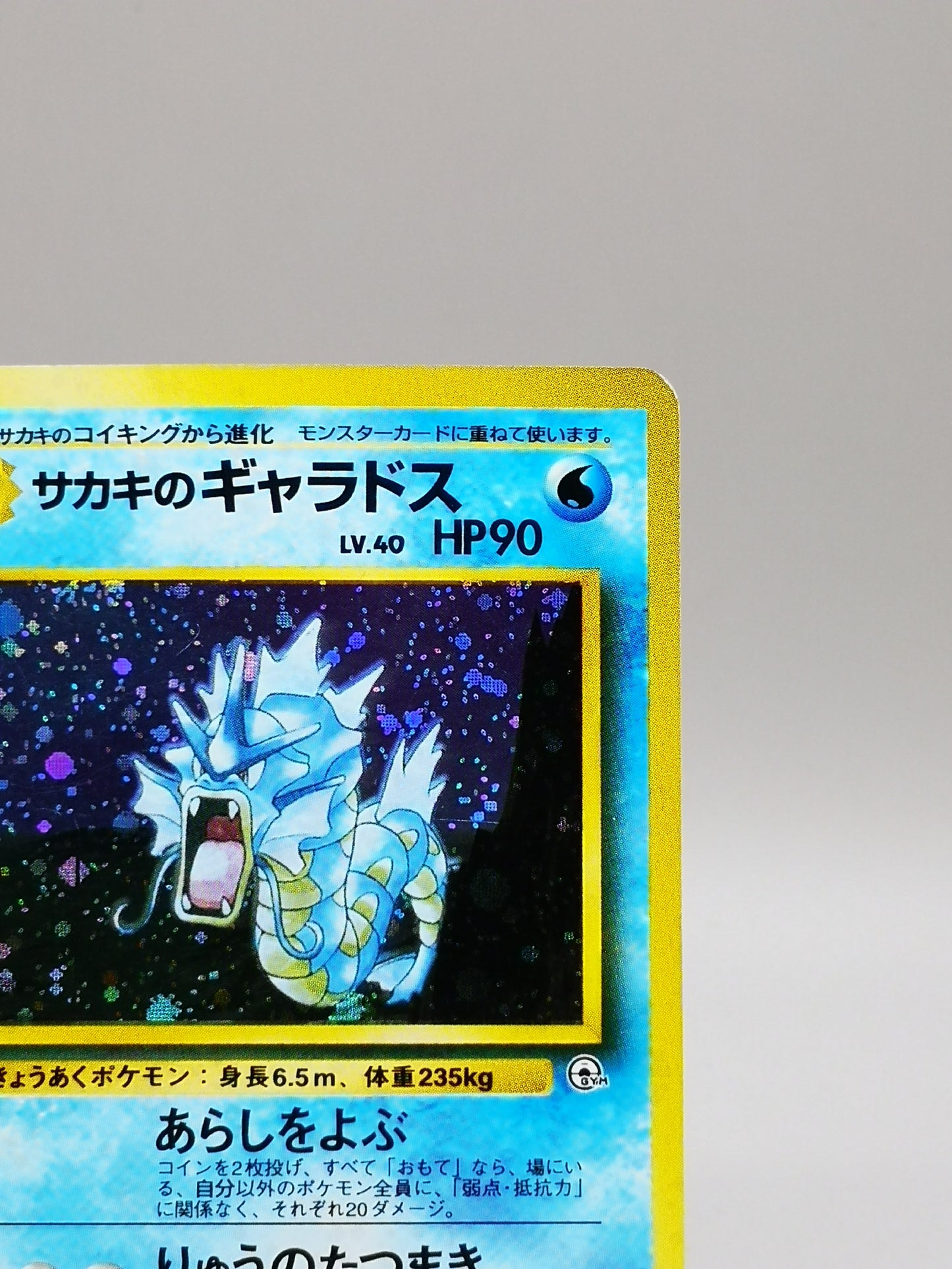 Giovanni's Gyarados No. 130 Gym Challenge 1999