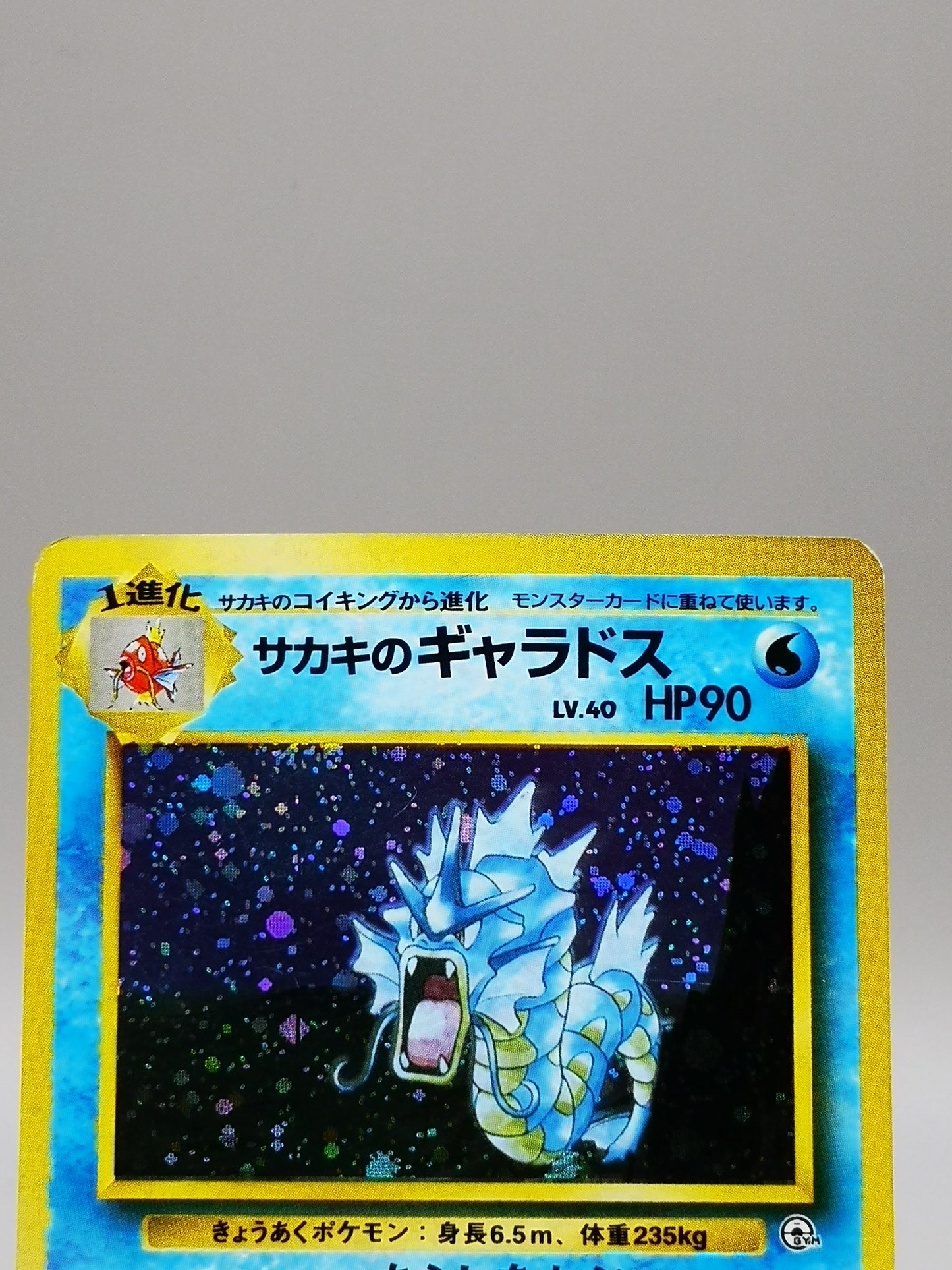 Giovanni's Gyarados No. 130 Gym Challenge 1999