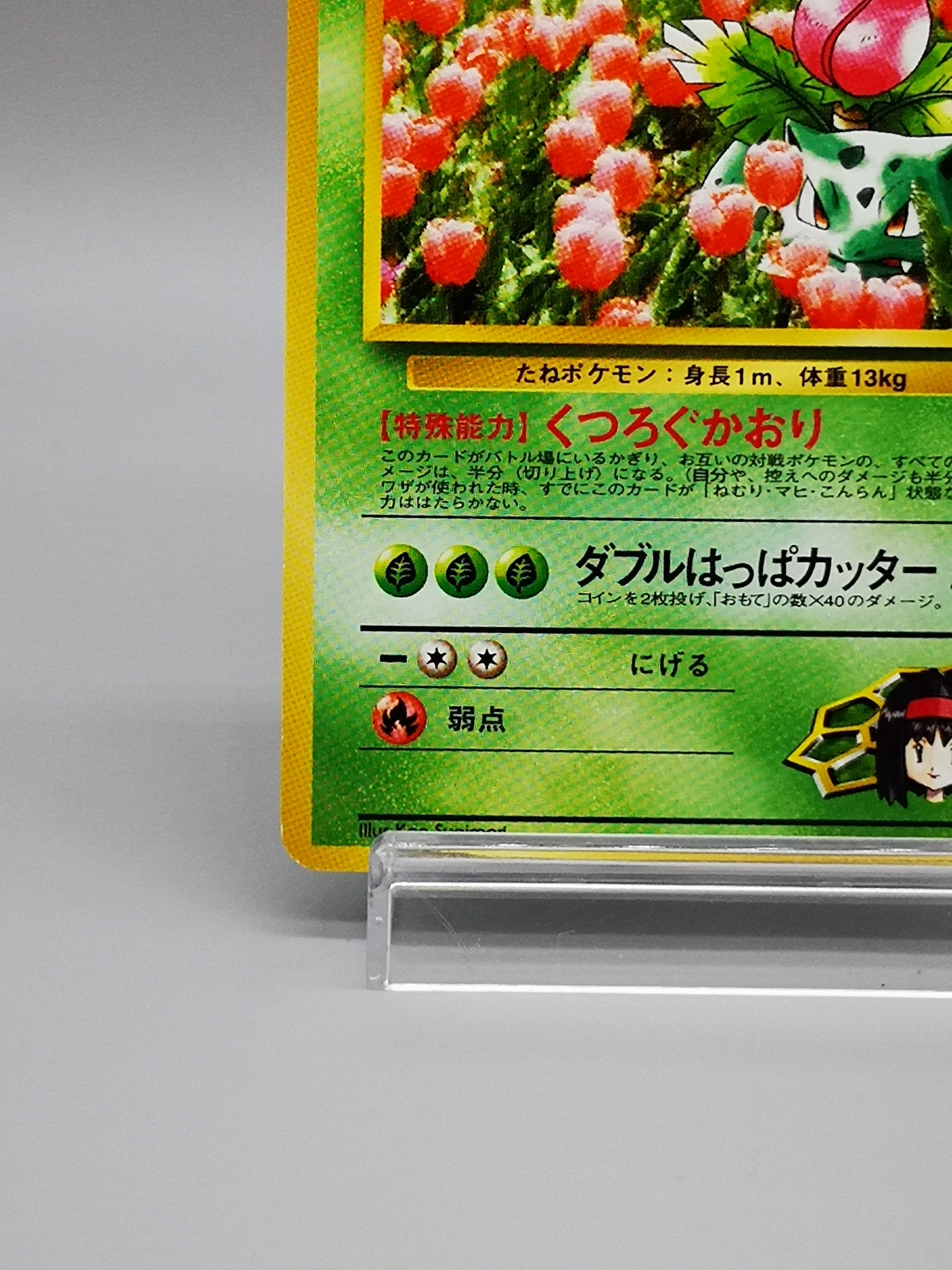 Erika's Ivysaur No. 002 Leaders' Stadium 1998
