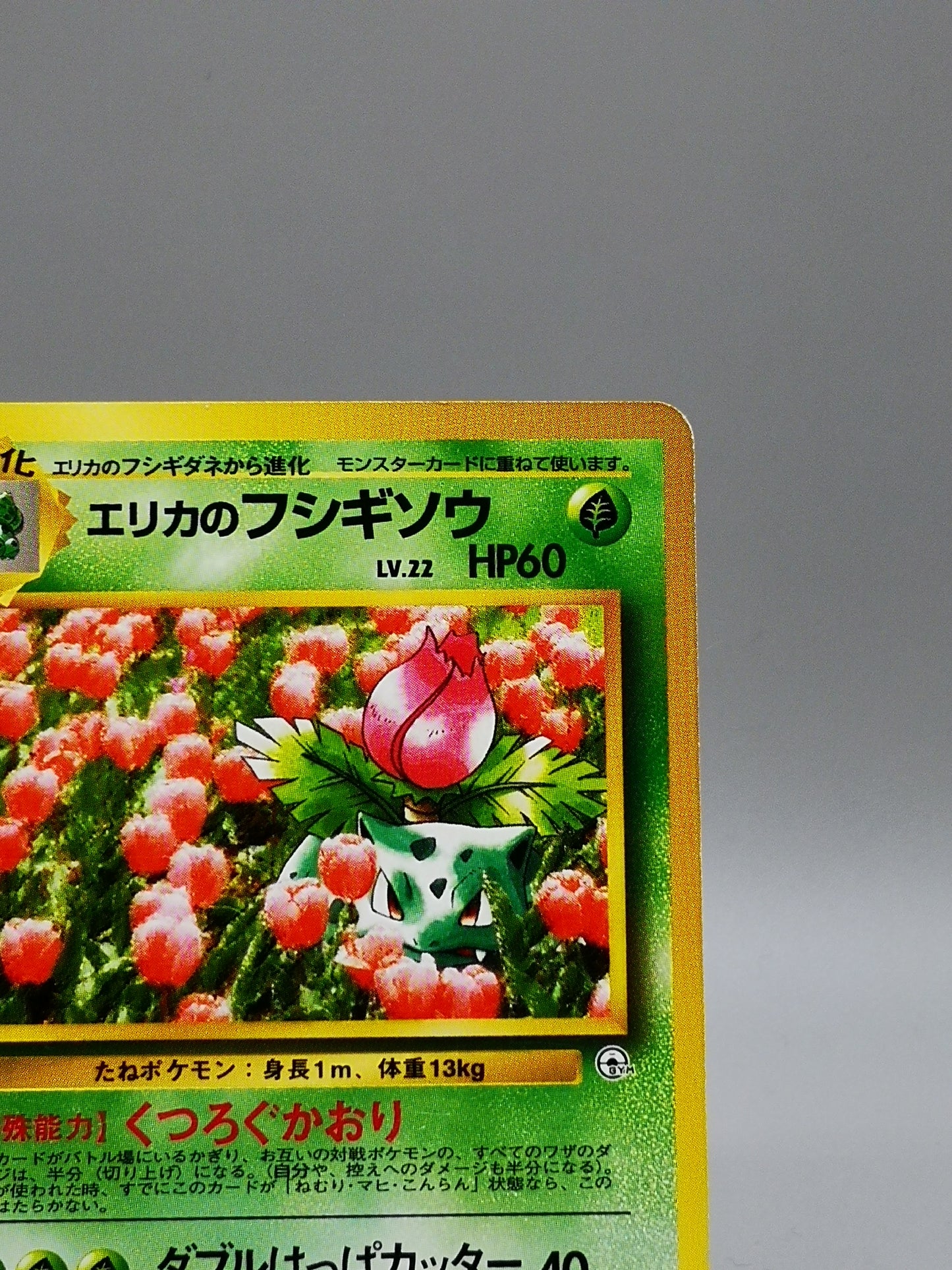 Erika's Ivysaur No. 002 Leaders' Stadium 1998