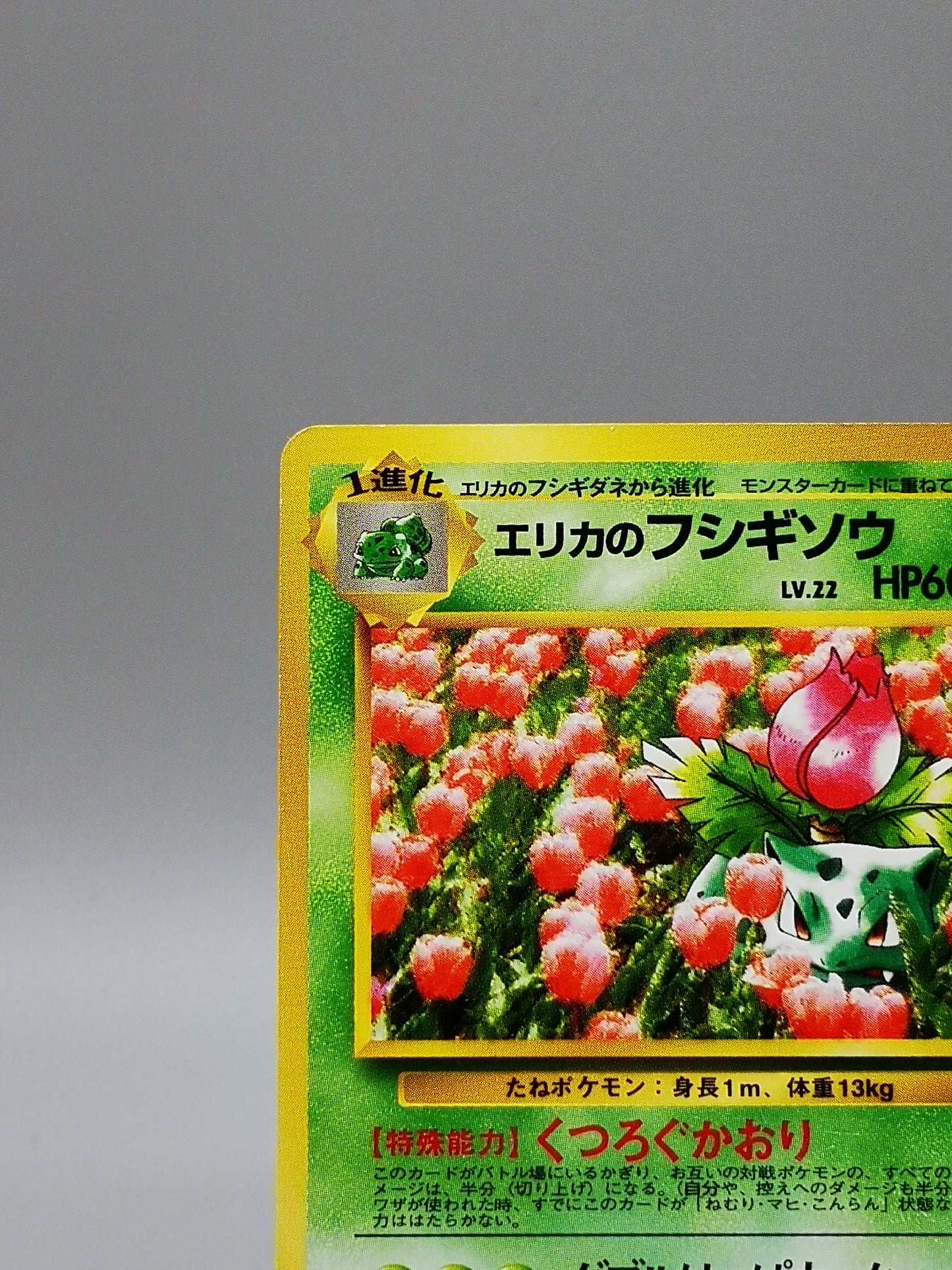 Erika's Ivysaur No. 002 Leaders' Stadium 1998