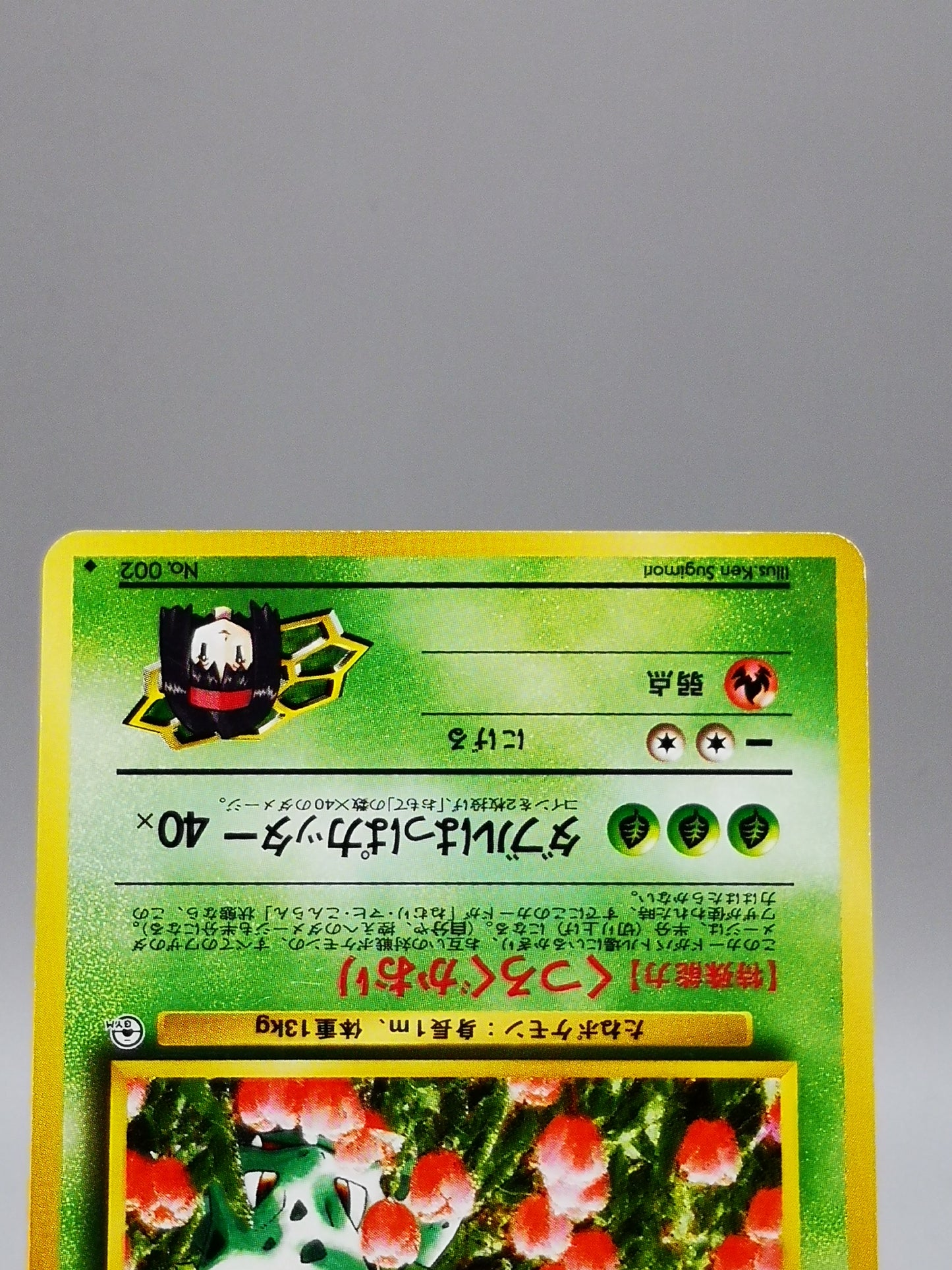 Erika's Ivysaur No. 002 Leaders' Stadium 1998