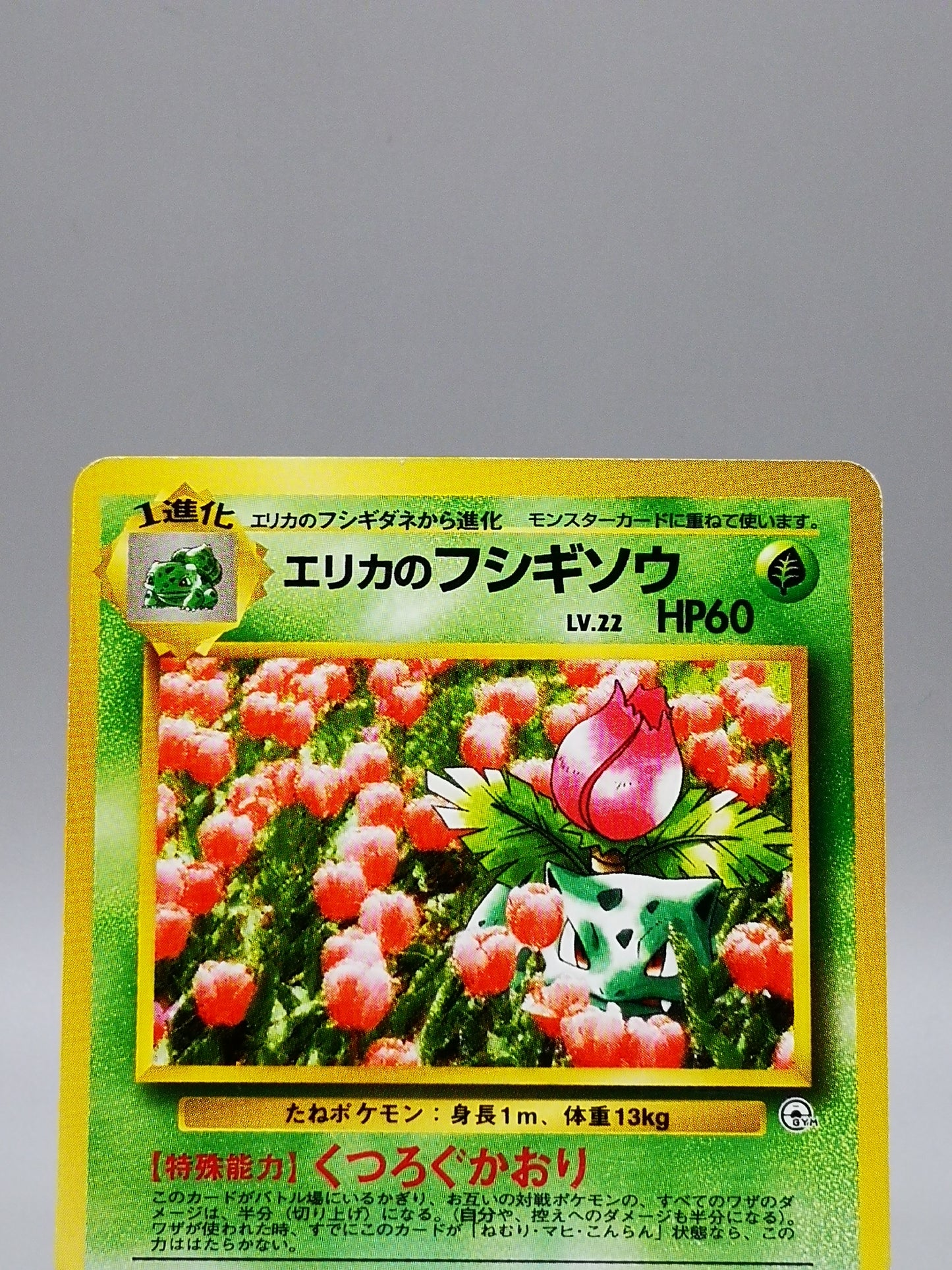 Erika's Ivysaur No. 002 Leaders' Stadium 1998
