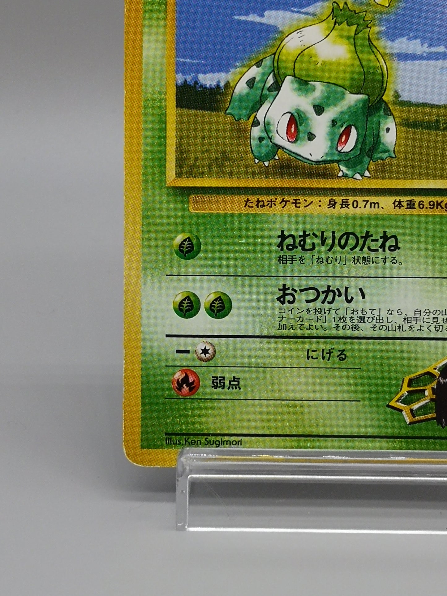 Erika's Bulbasaur No. 001 Leaders' Stadium 1998