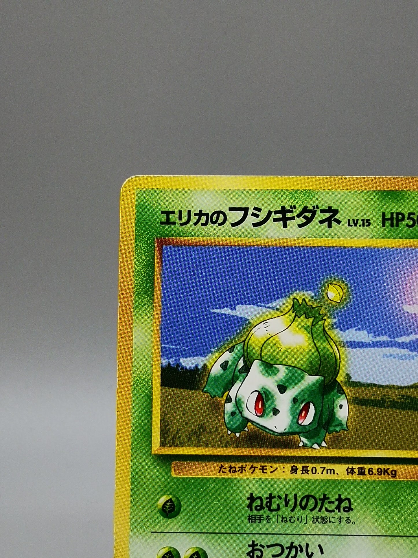 Erika's Bulbasaur No. 001 Leaders' Stadium 1998
