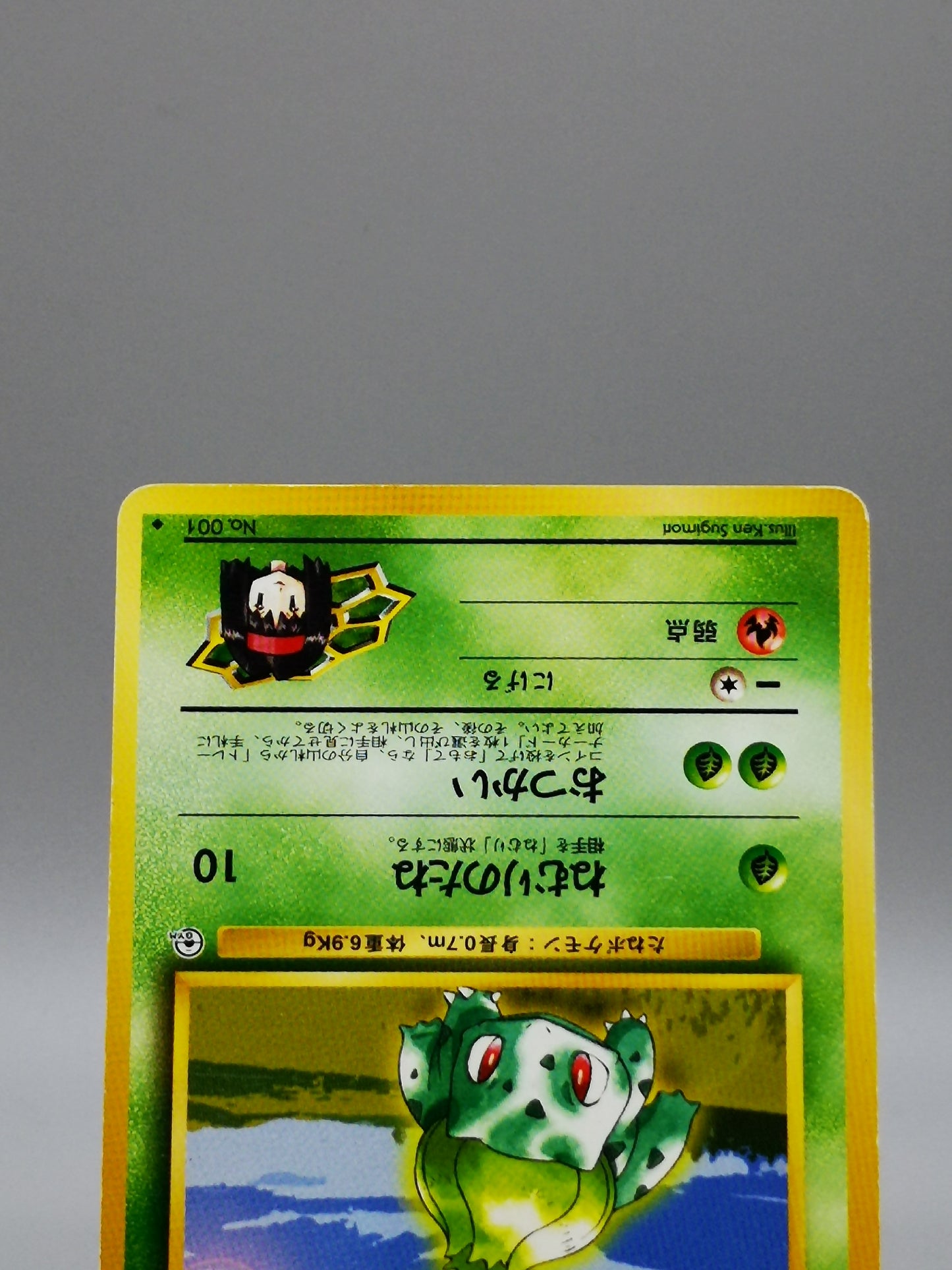 Erika's Bulbasaur No. 001 Leaders' Stadium 1998