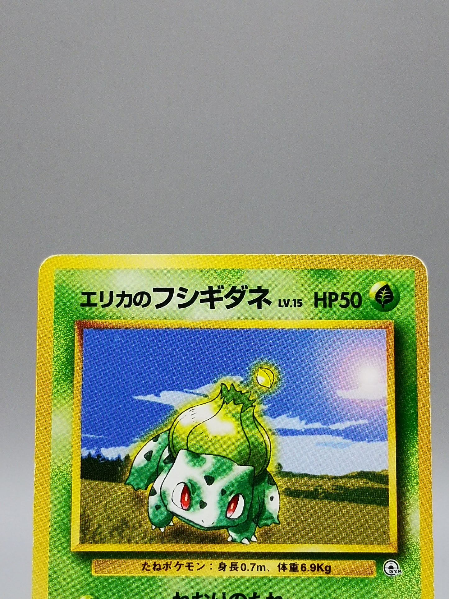 Erika's Bulbasaur No. 001 Leaders' Stadium 1998