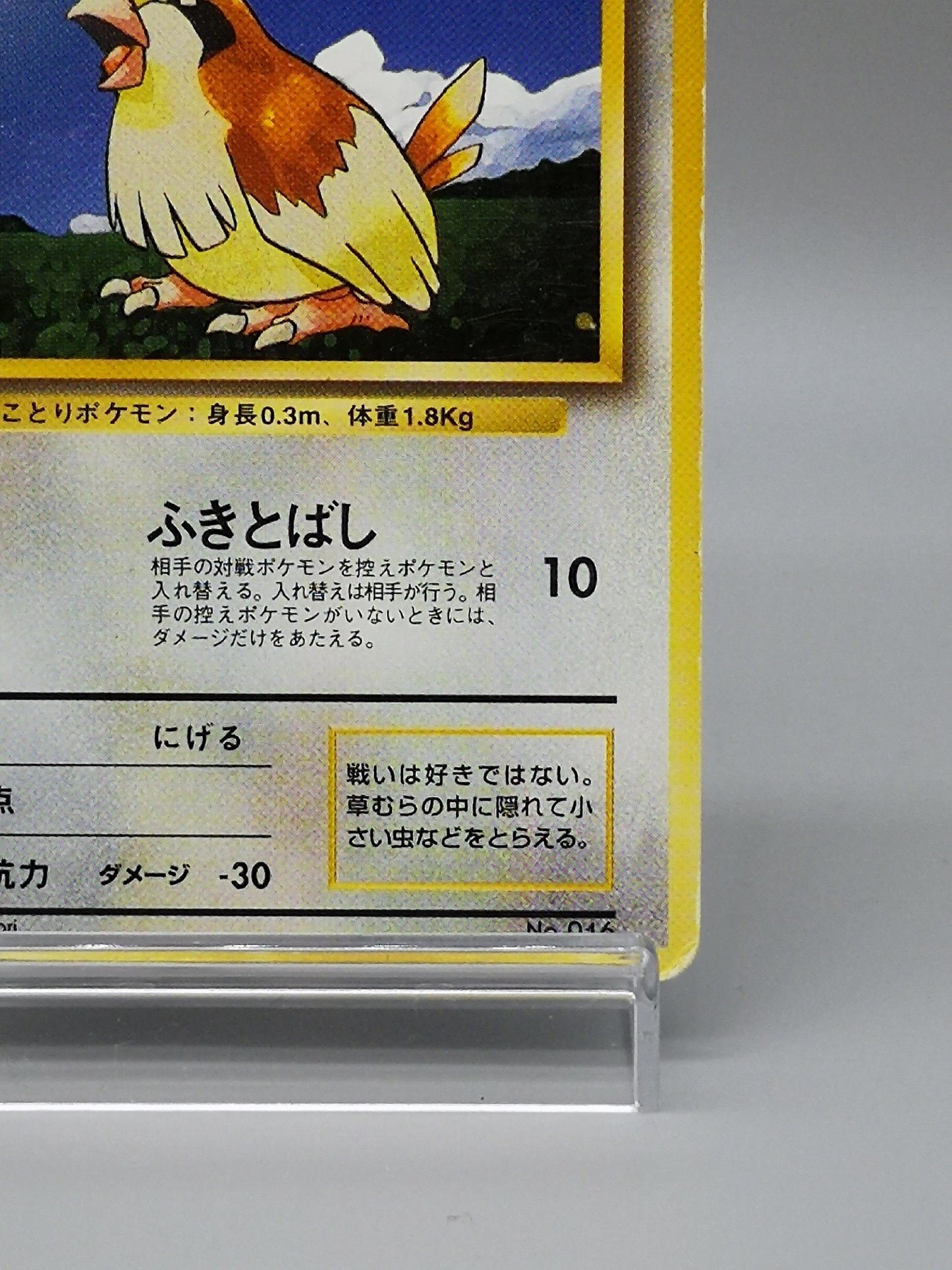 Pidgey No. 016 Japanese Base Set 1st Edition 1996