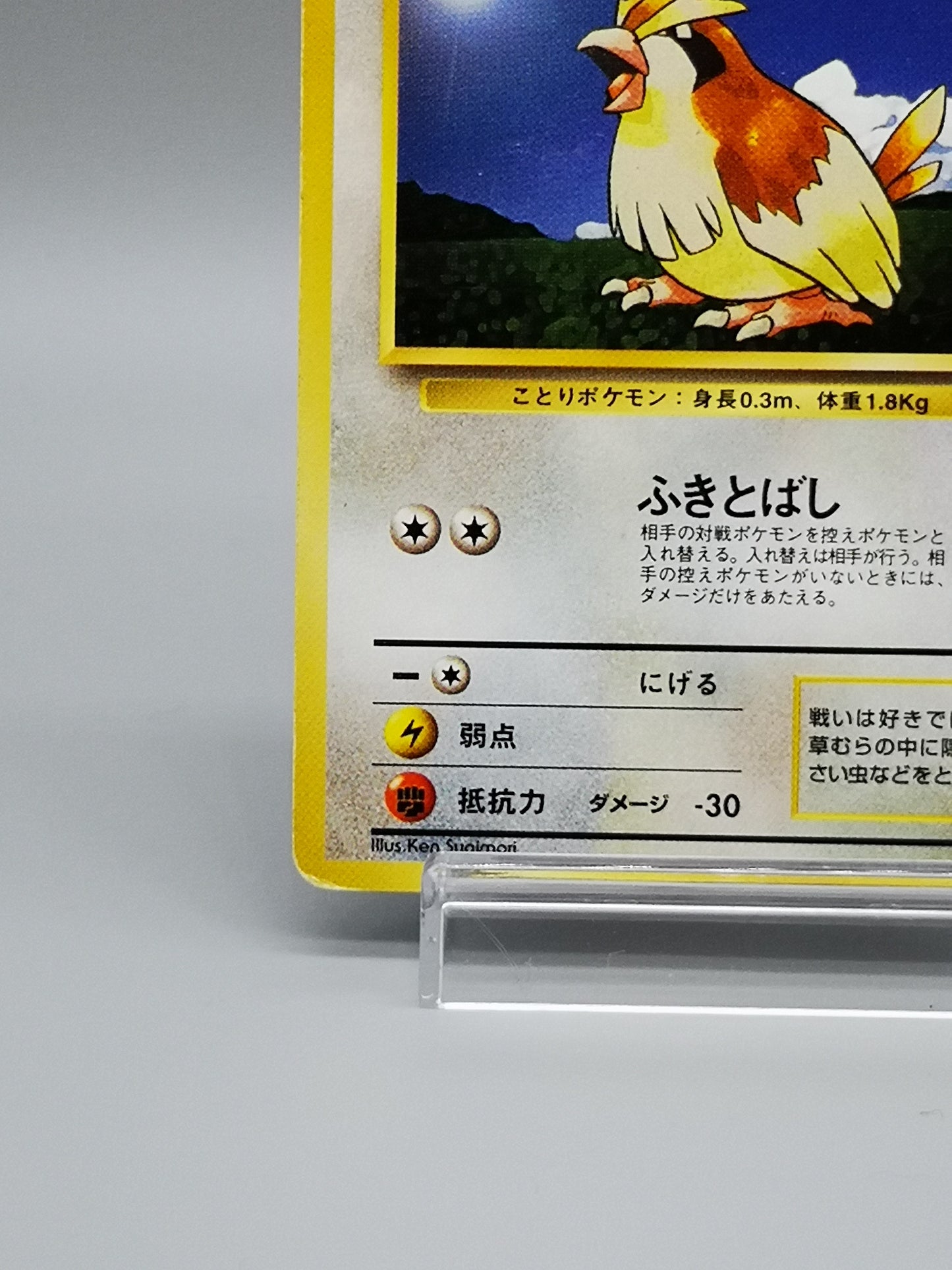Pidgey No. 016 Japanese Base Set 1st Edition 1996