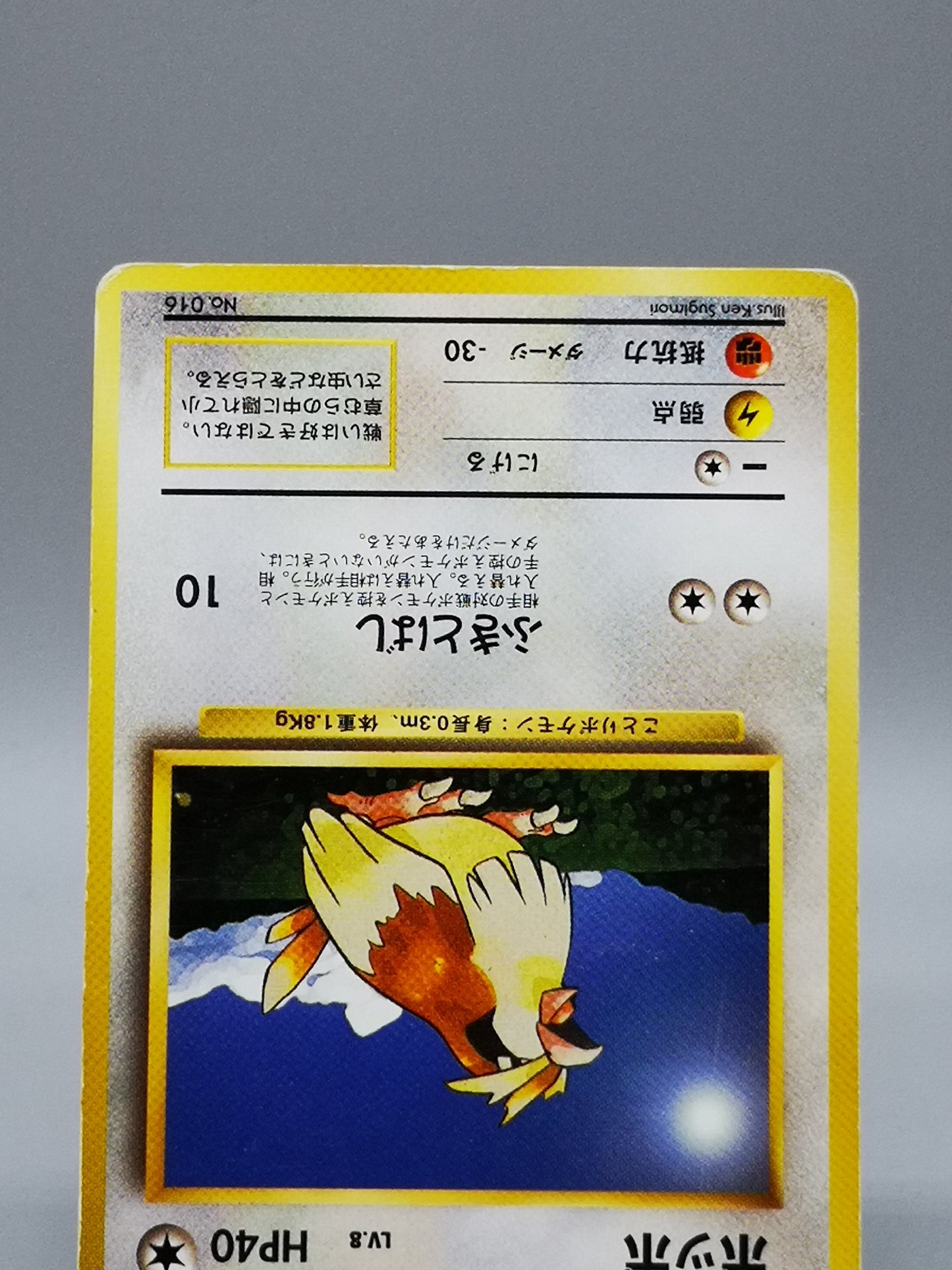 Pidgey No. 016 Japanese Base Set 1st Edition 1996