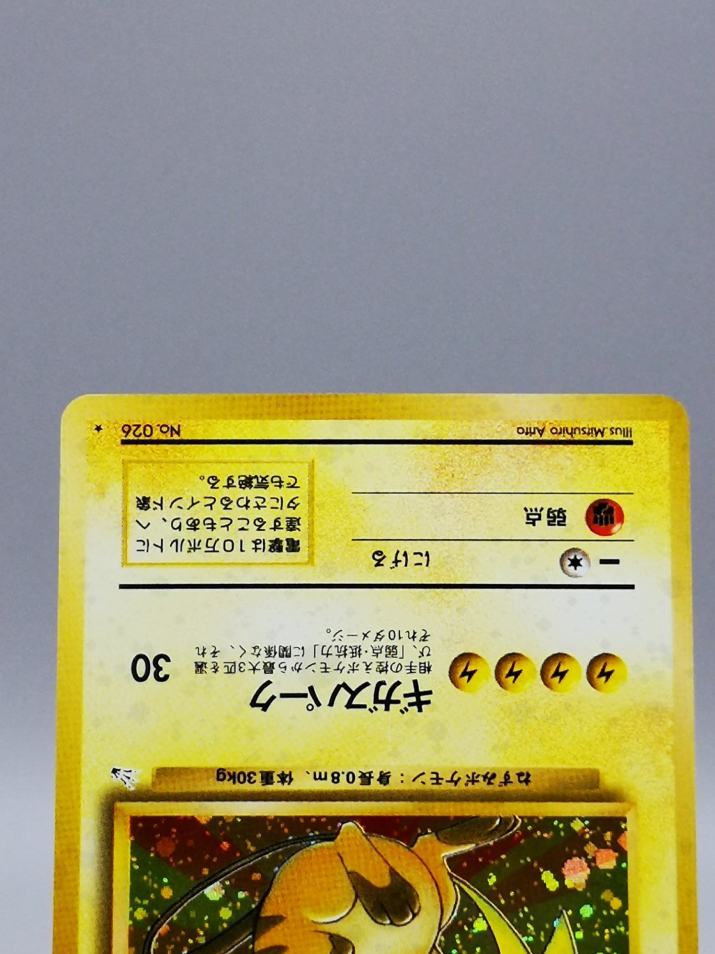 Raichu No. 026 Mystery of the Fossils 1997