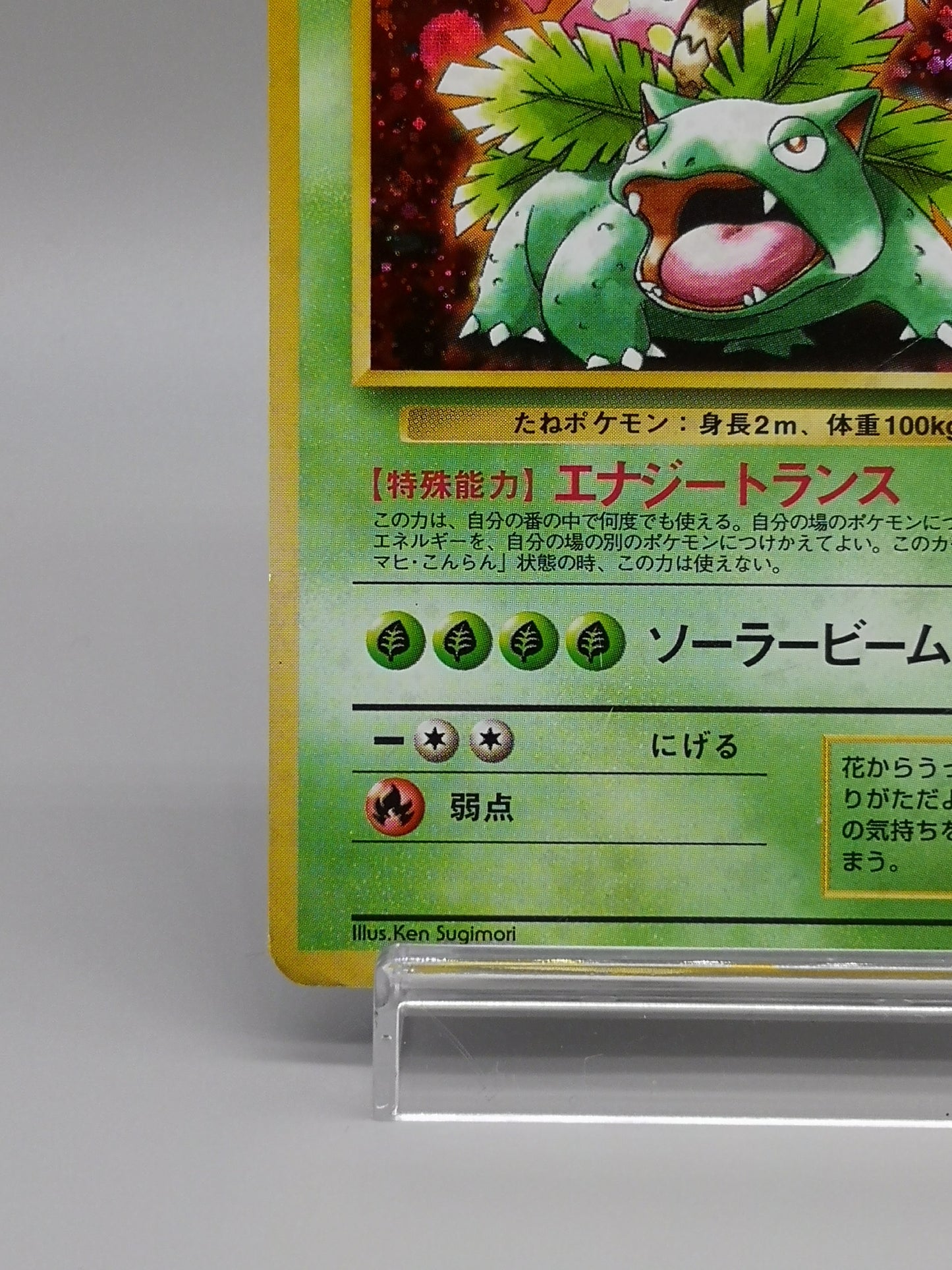 Venusaur Japanese Base Set 1996